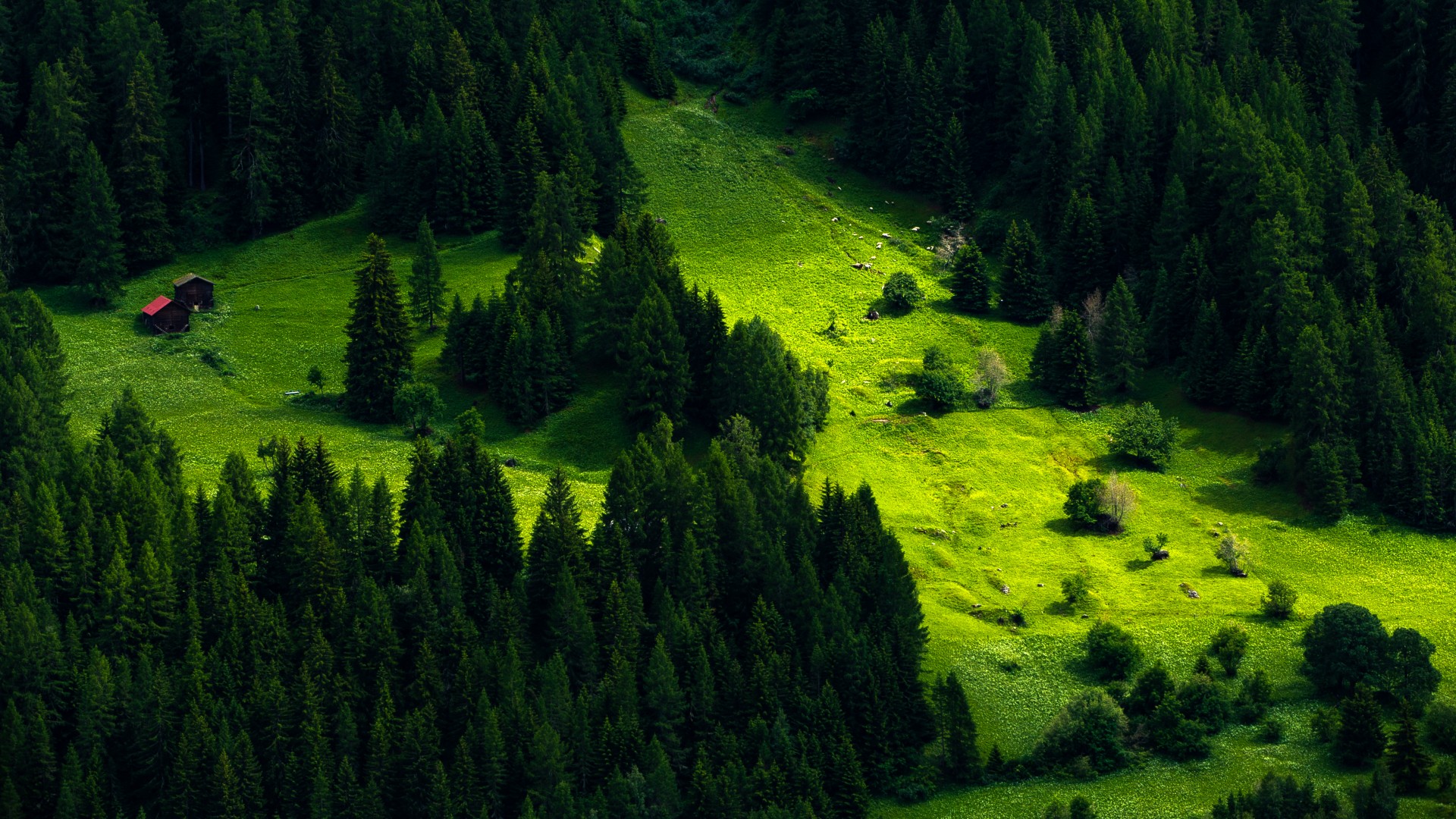 瑞士自然美景，山坡草地森林壁纸，免费下载，电脑桌面新选择！