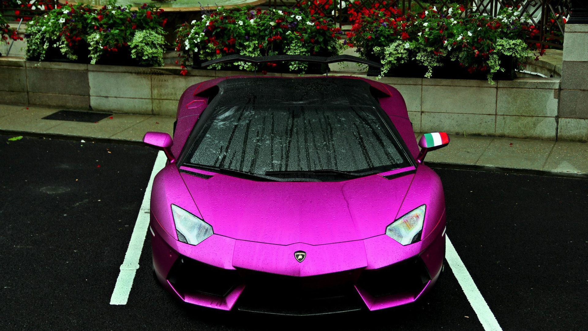 紫色兰博基尼图片 兰博基尼Aventador LP700-4 桌面壁纸