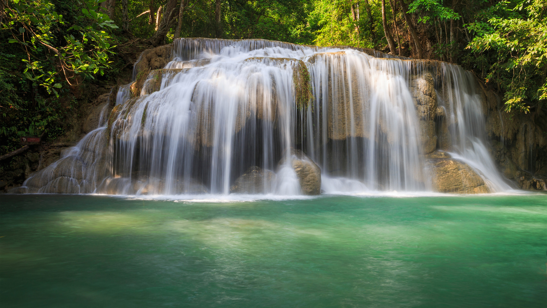 绿色森林 树木 水 瀑布风景桌面壁纸
