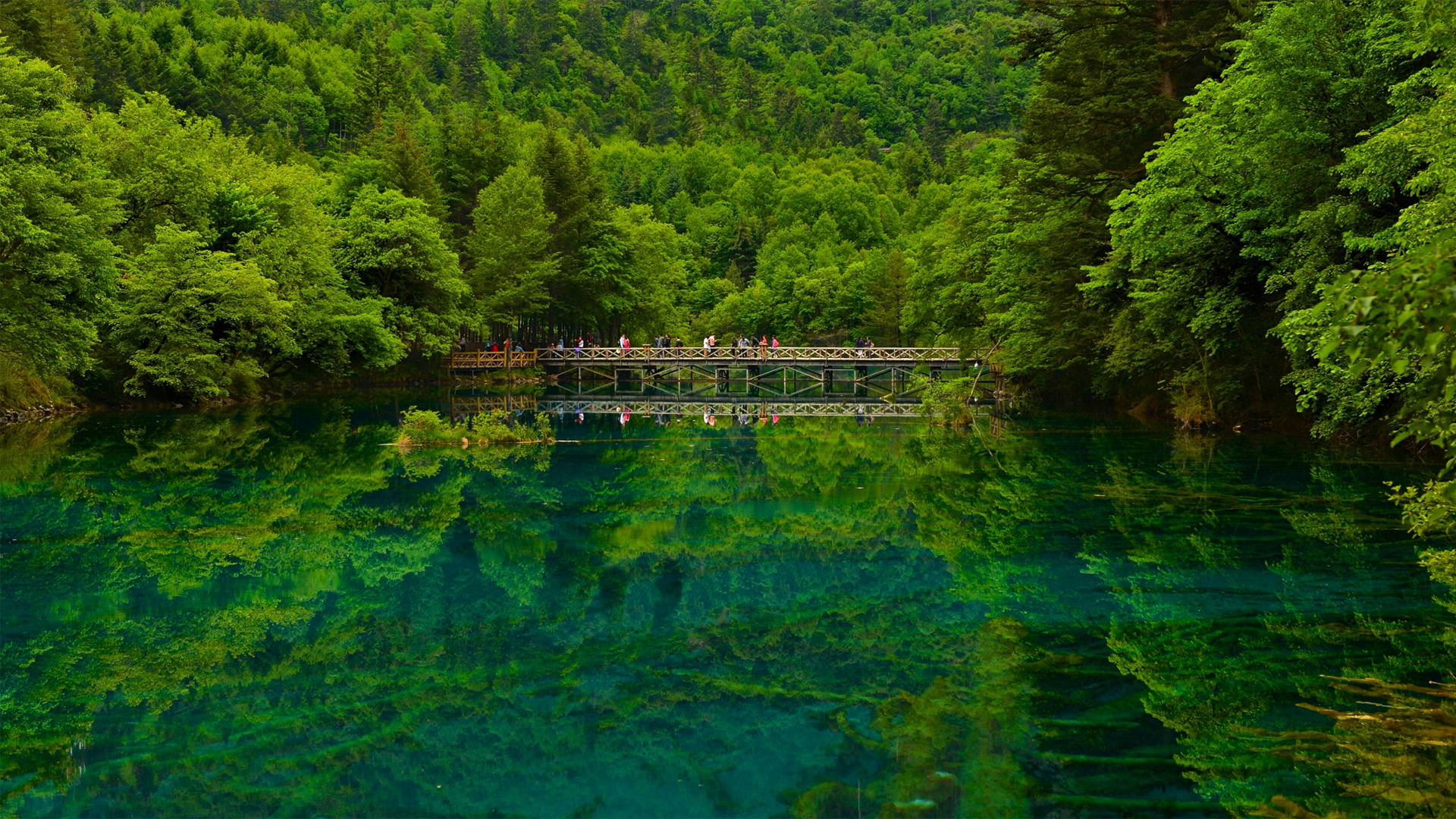 四川九寨沟，湖泊，树林，自然美景，桌面壁纸