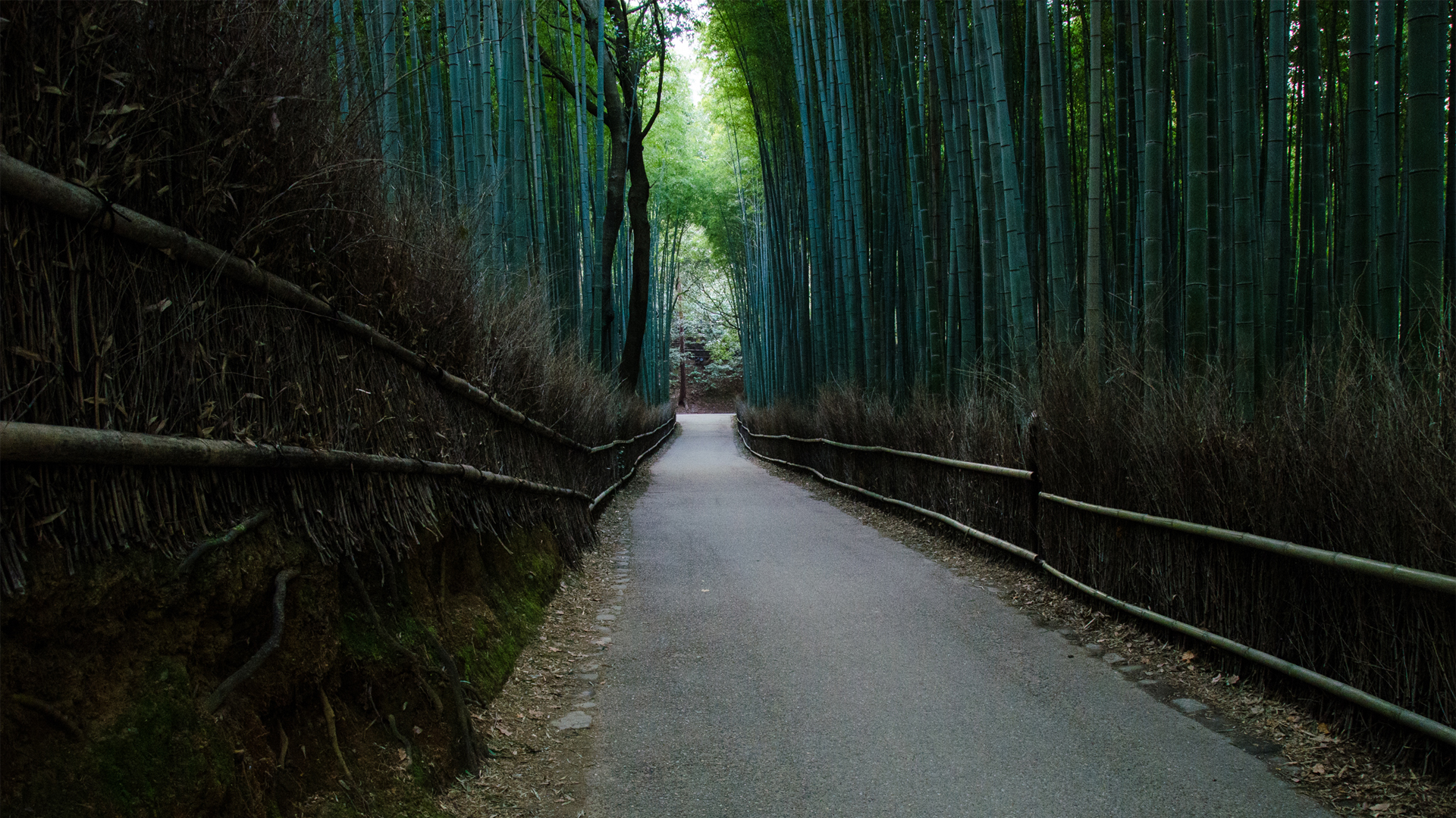 竹林小径围栏美景壁纸，免费高清电脑桌面背景下载