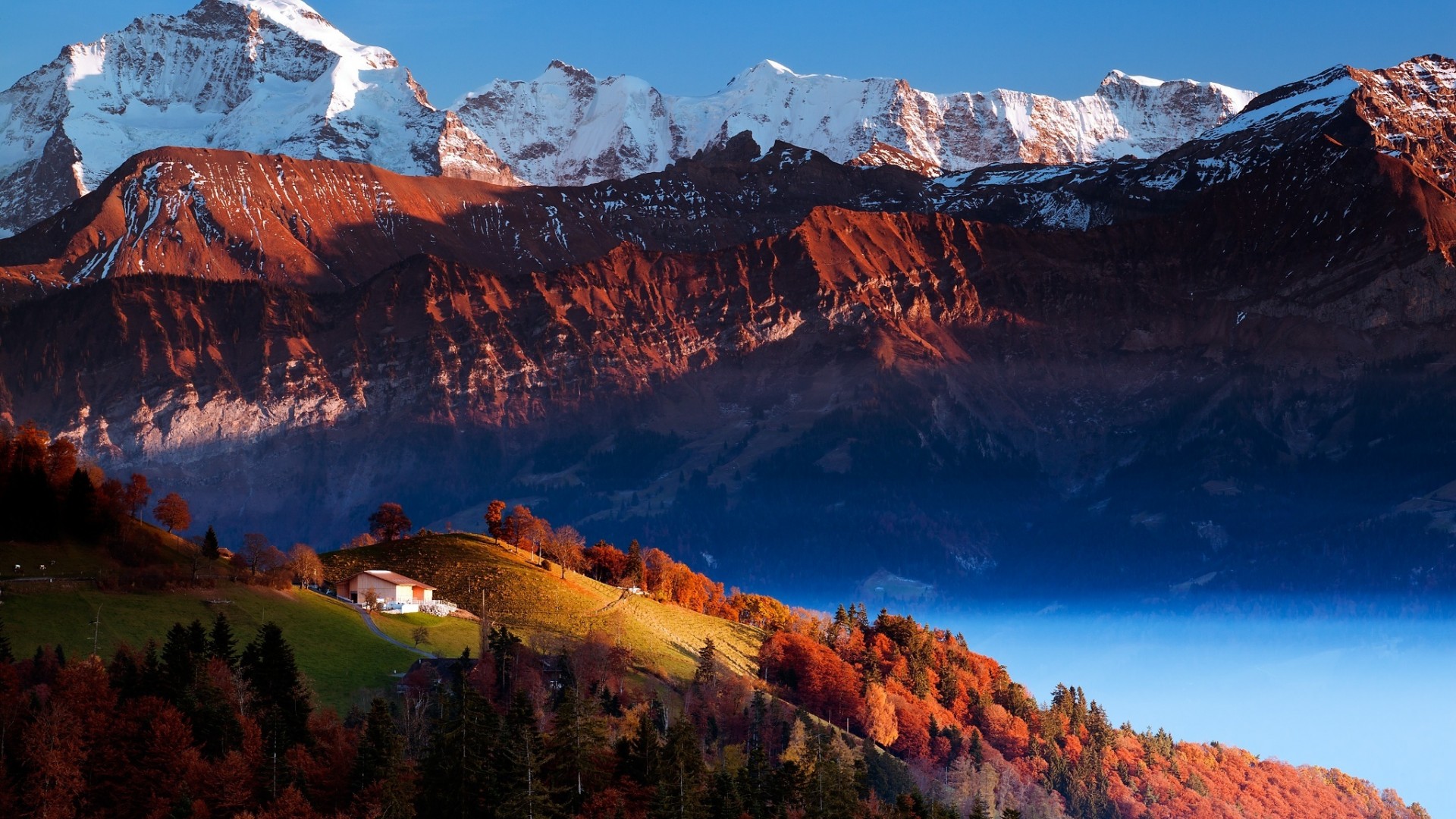 高山，峡谷，树木，自然风景图片桌面壁纸