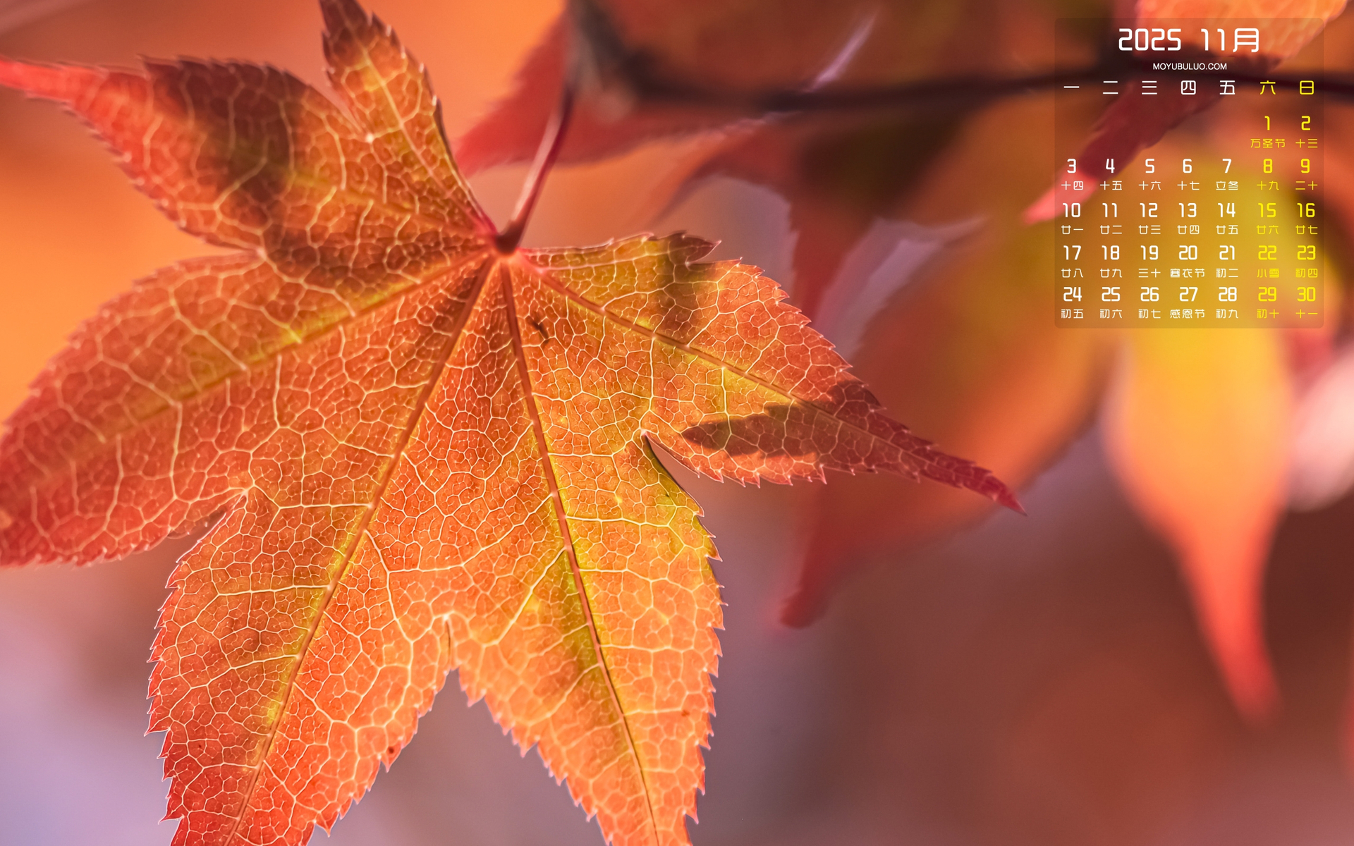 2025年11月秋天树叶主题电脑桌面日历壁纸免费下载