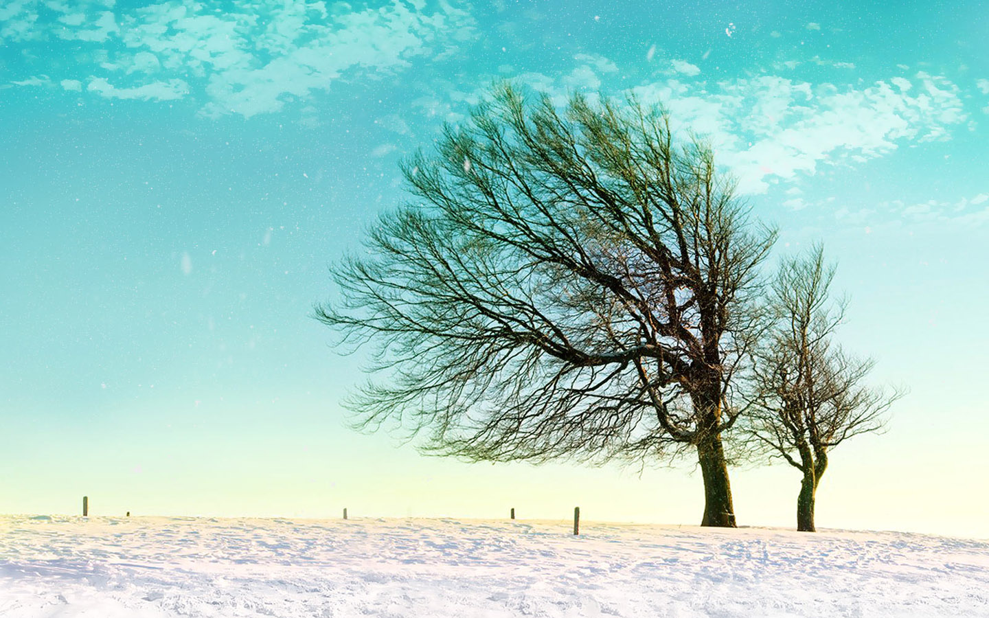 雪地情侣悄悄约会壁纸