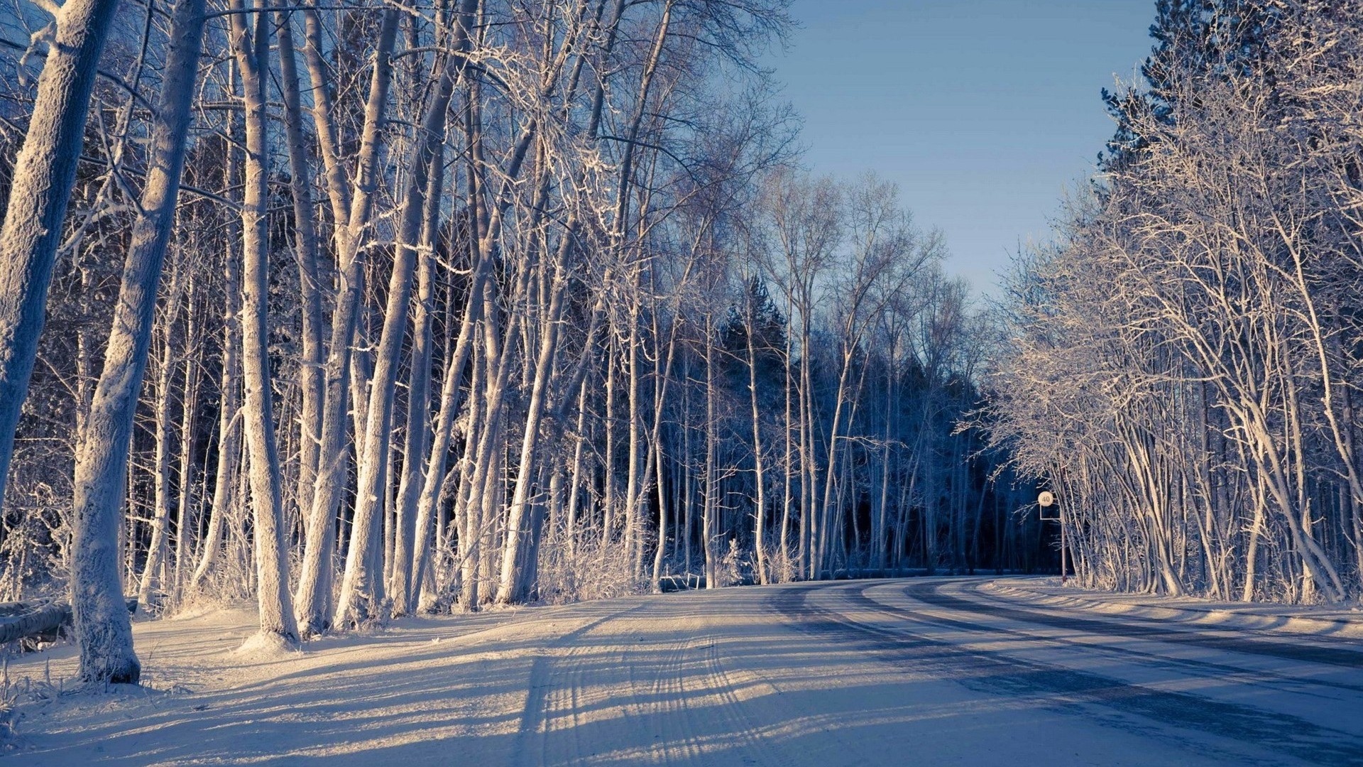 冬日雪景，树木银装，道路如画，绝美风景壁纸免费下载