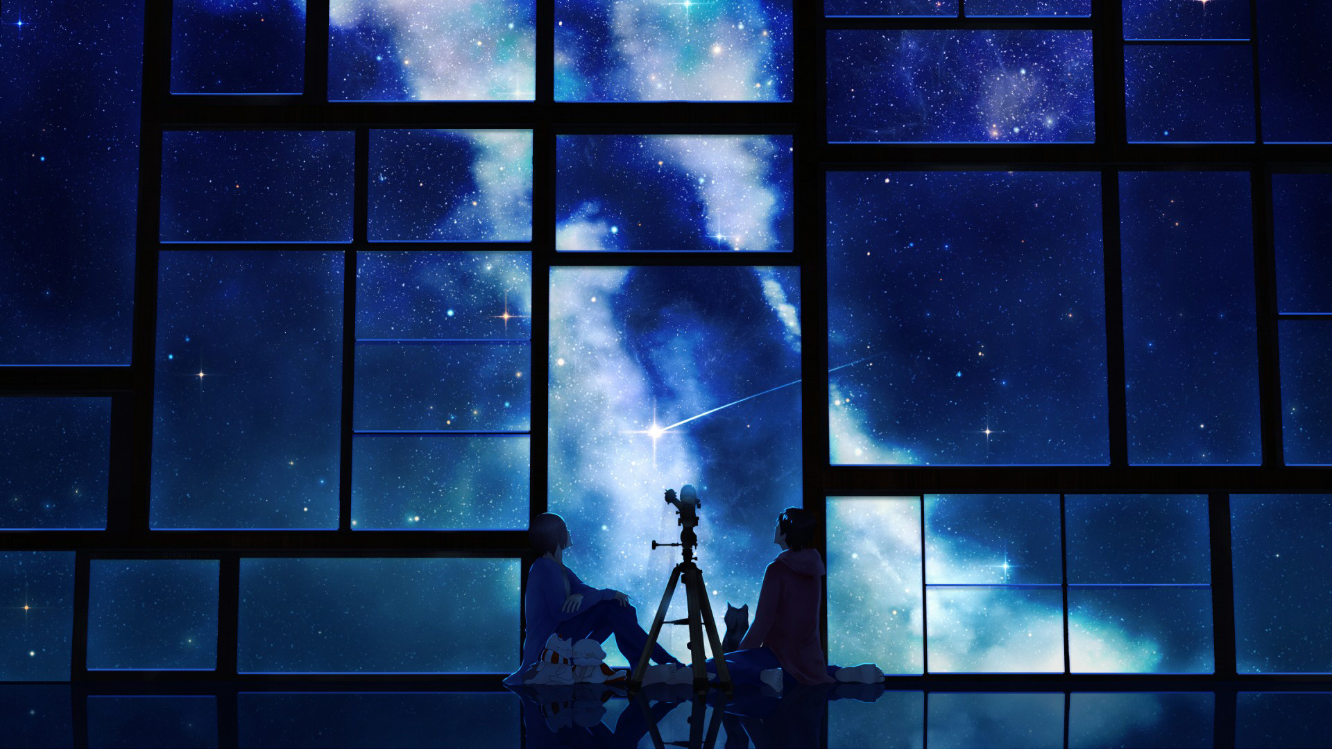 女孩男孩与小猫共绘星空，美好动漫壁纸，免费下载装点你的电脑桌面