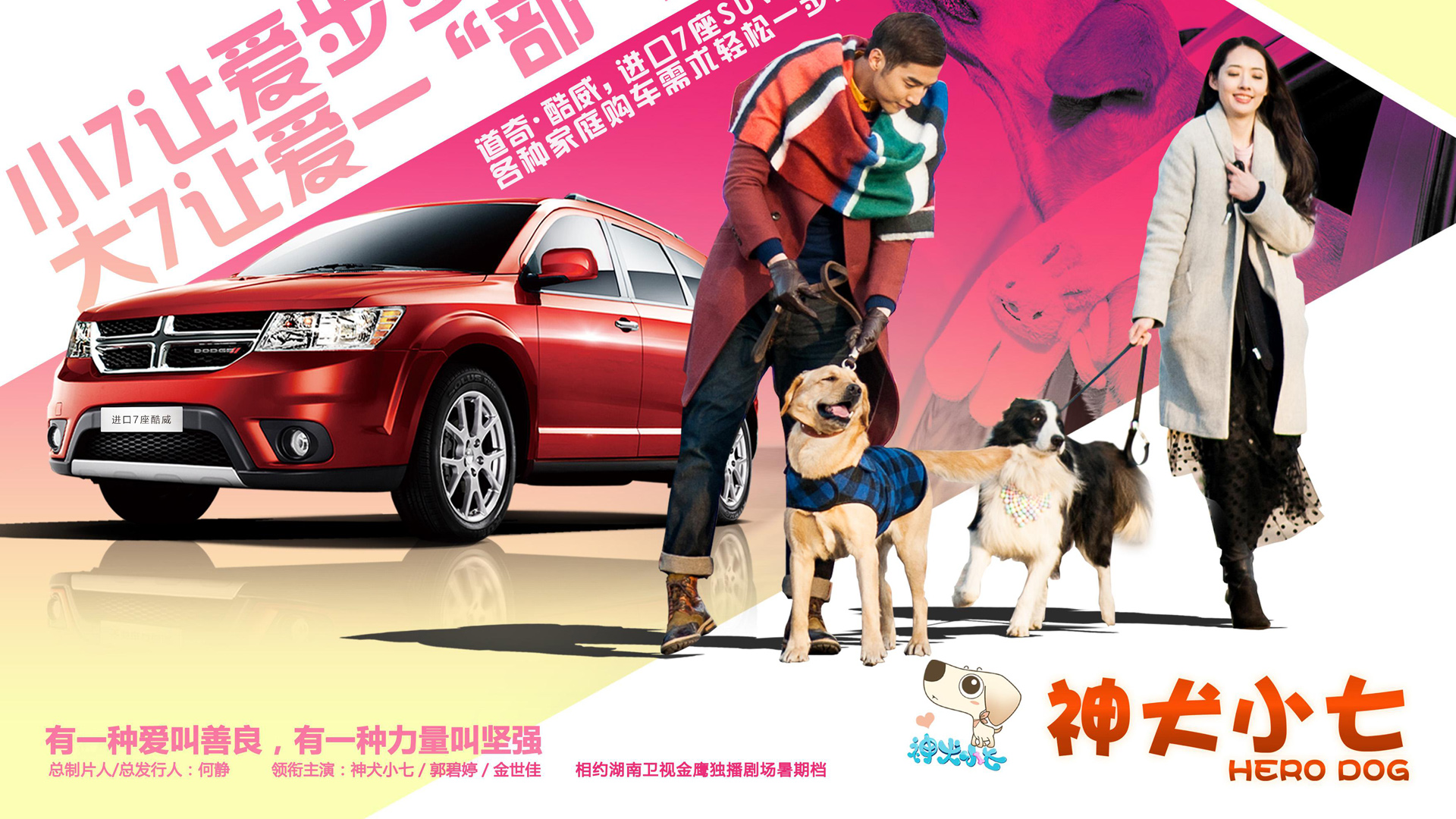 神犬小七精美壁纸，免费电脑桌面背景，一键下载！
