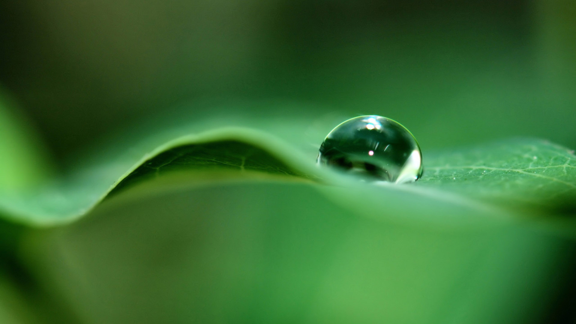 绿色水珠桌面壁纸，免费风景电脑壁纸，一键下载！