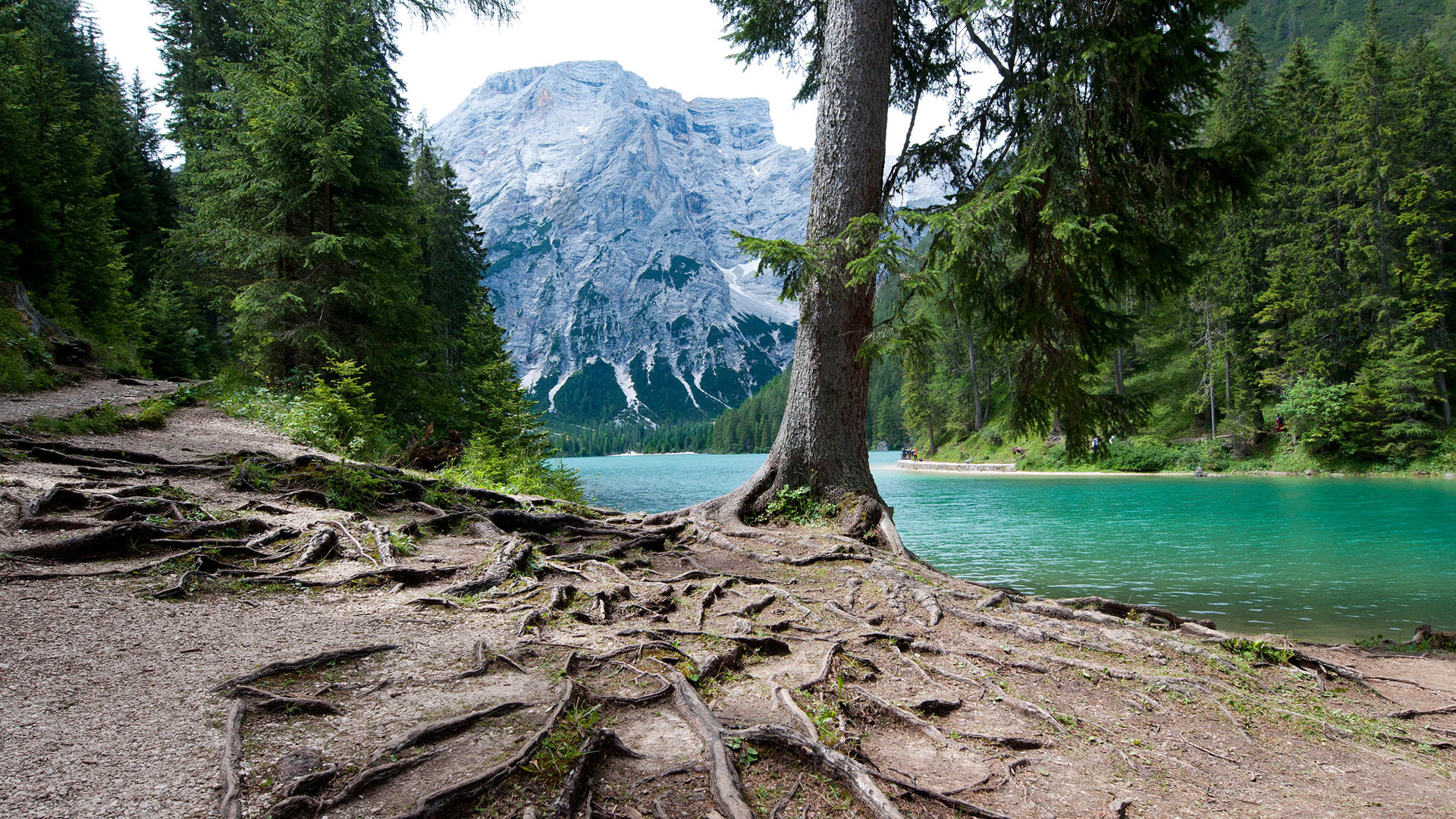意大利Lago di Braies湖风景壁纸