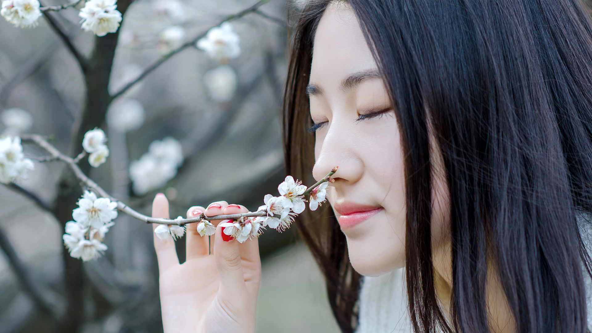 清纯佳人闭眸间，梅花暗香醉心田 - 免费美女电脑壁纸下载