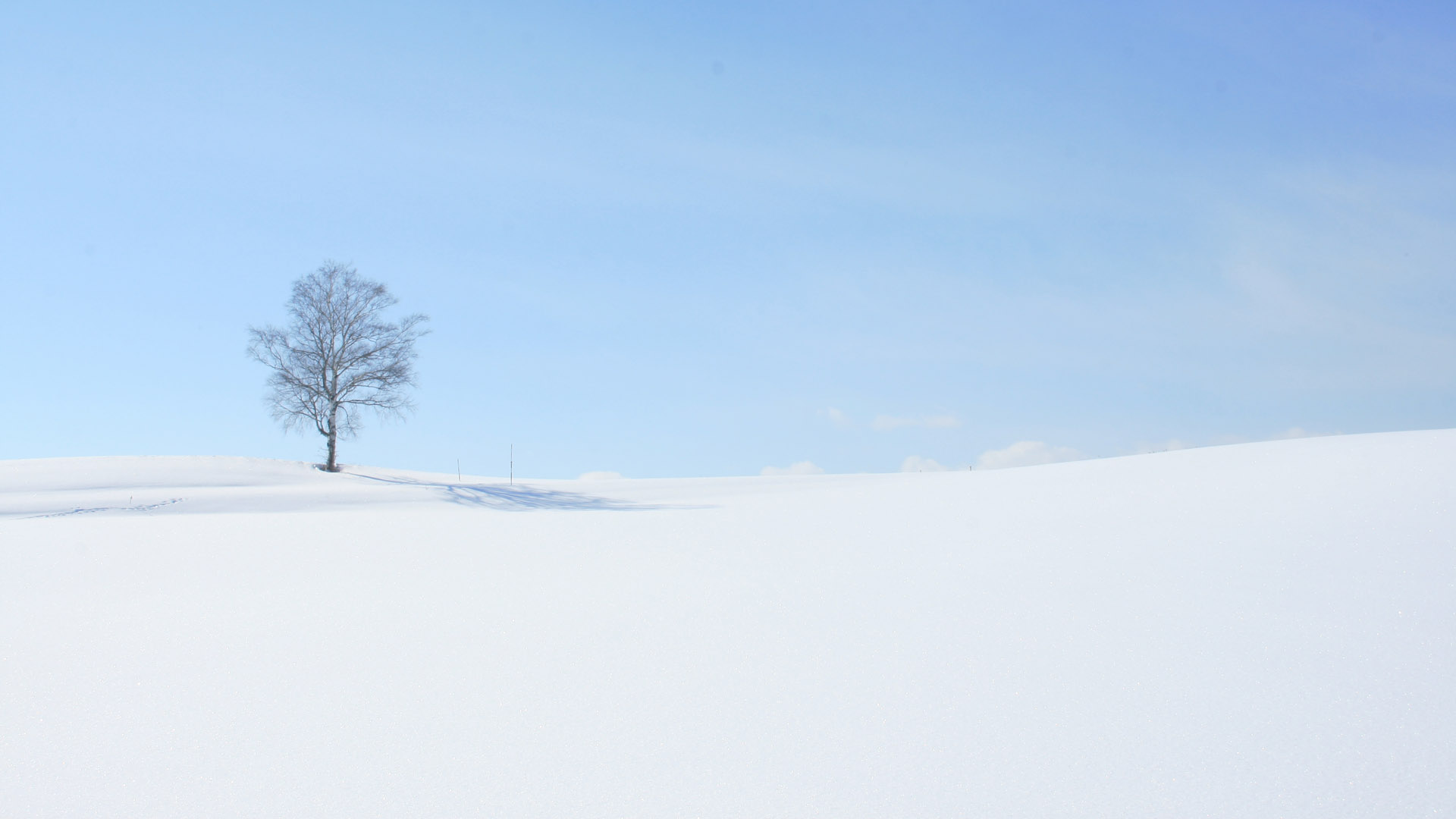 纯白雪景桌面壁纸，免费下载，风景如画！