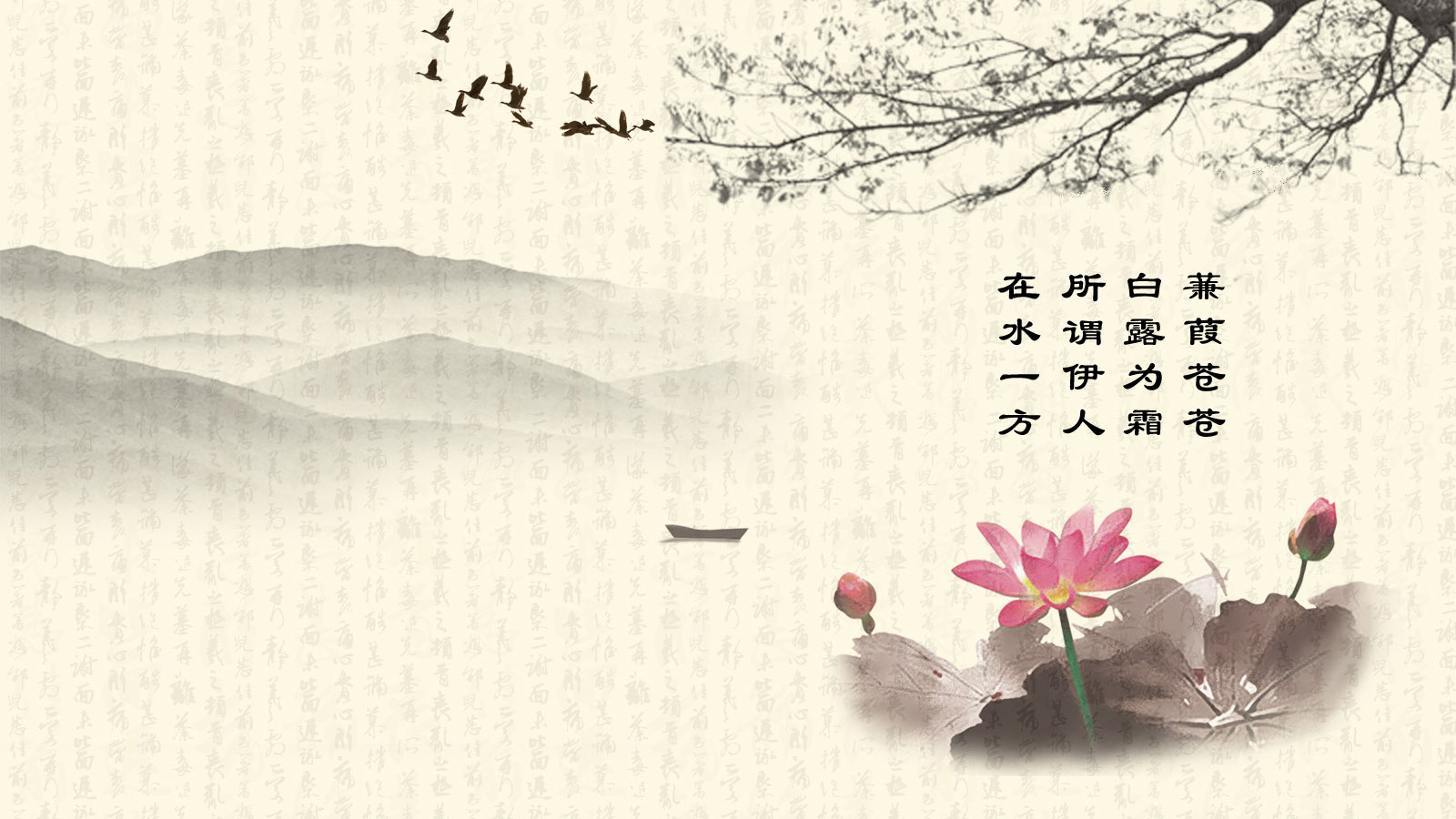 碧叶亭亭，唯美桌面壁纸免费下载，打造个性电脑界面
