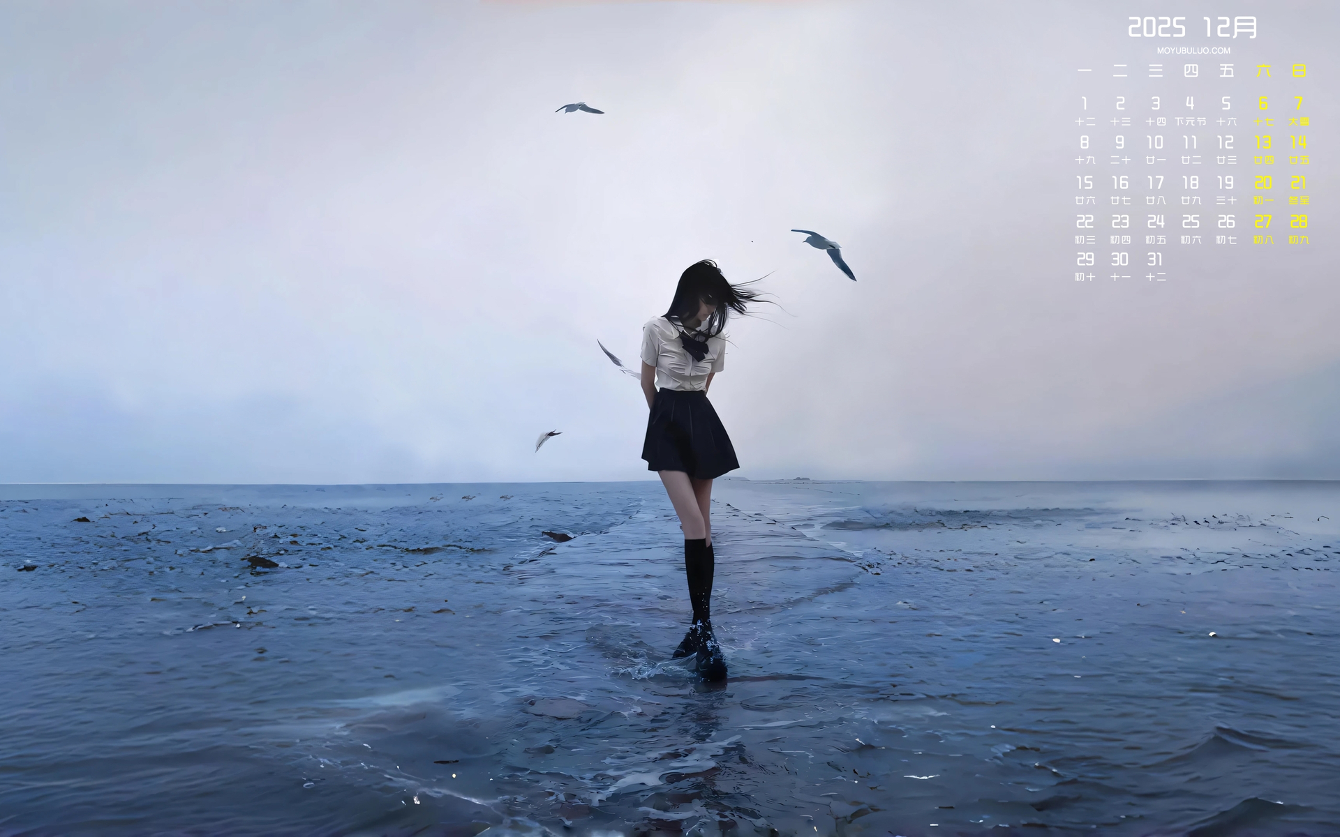 2025年12月海边美女主题电脑日历壁纸免费下载