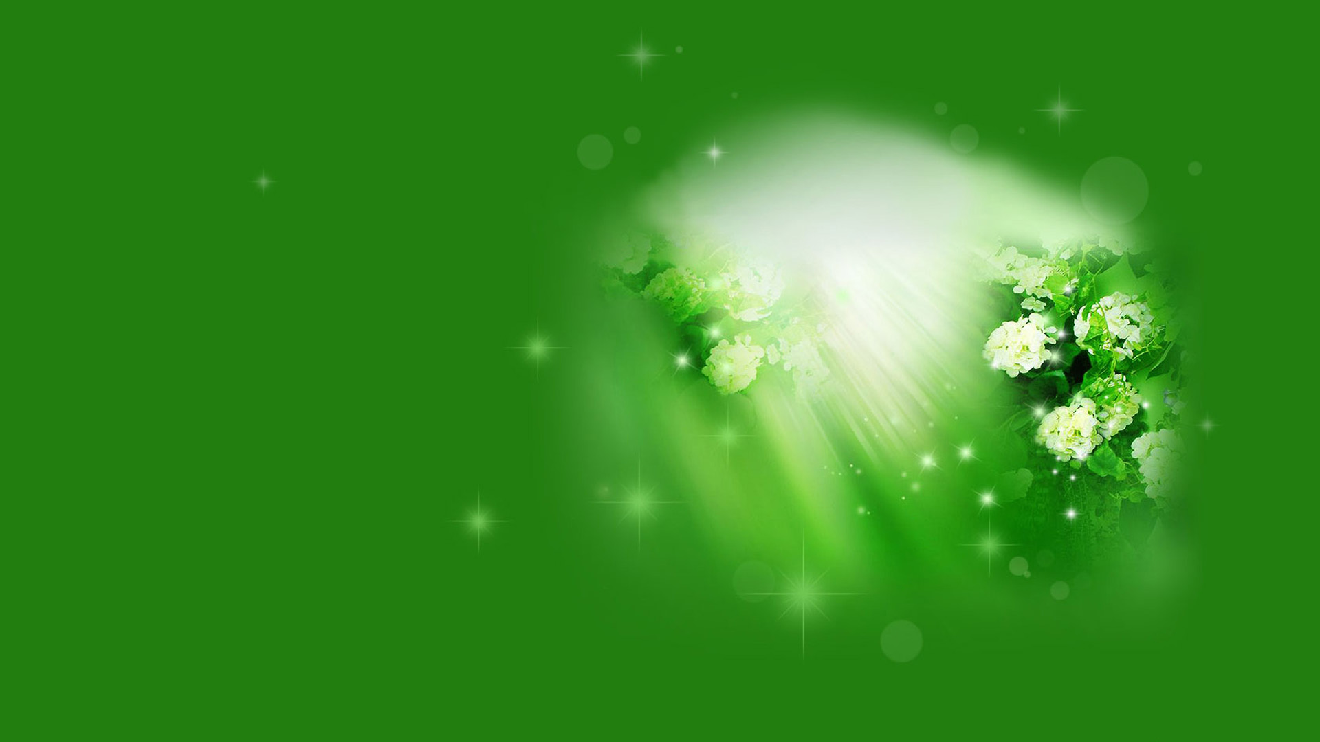 绿荫花卉壁纸大赏，免费电脑壁纸一键下载！