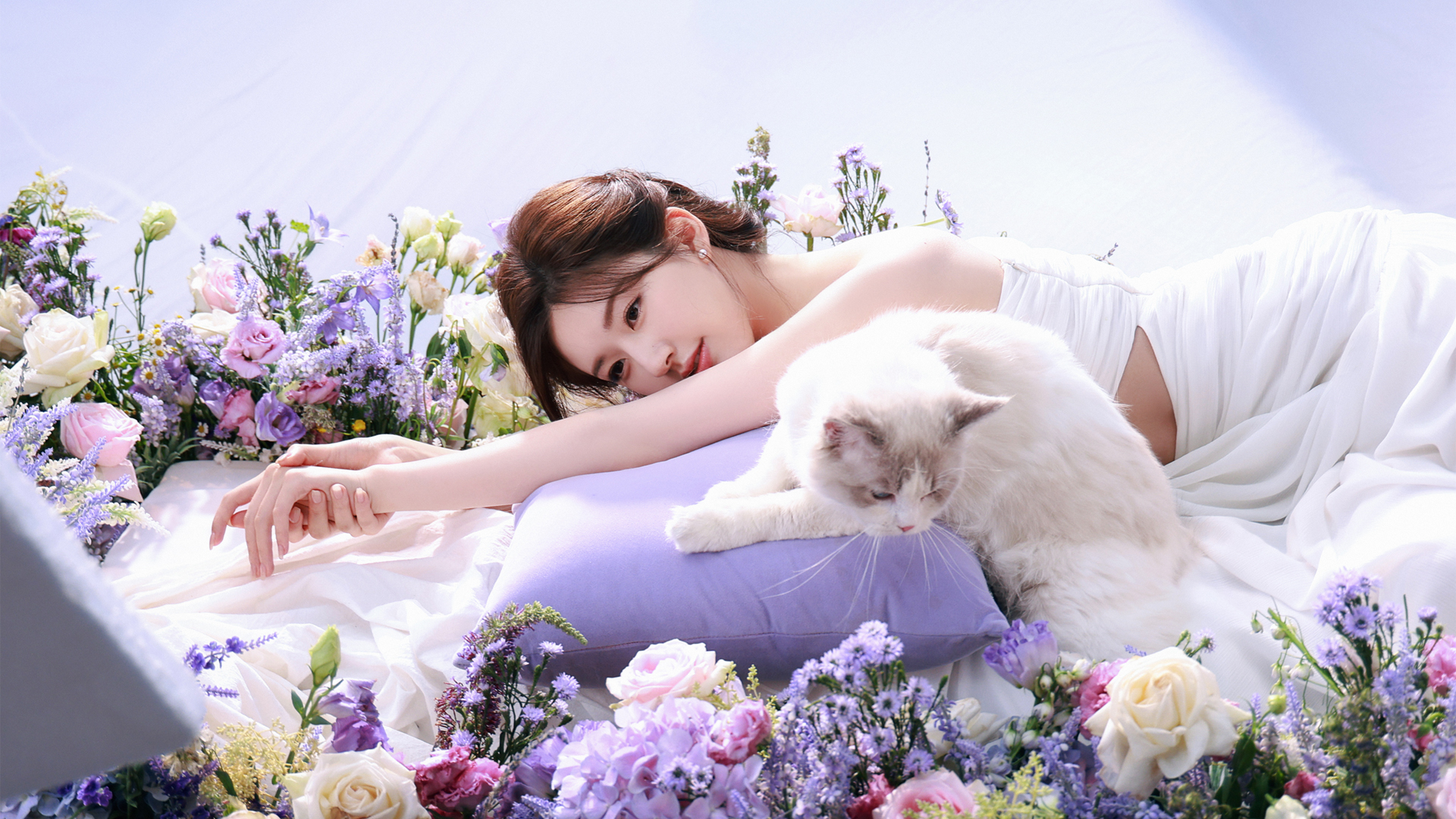 赵露思与猫共赏鲜花，精选高清美女壁纸，免费电脑壁纸下载