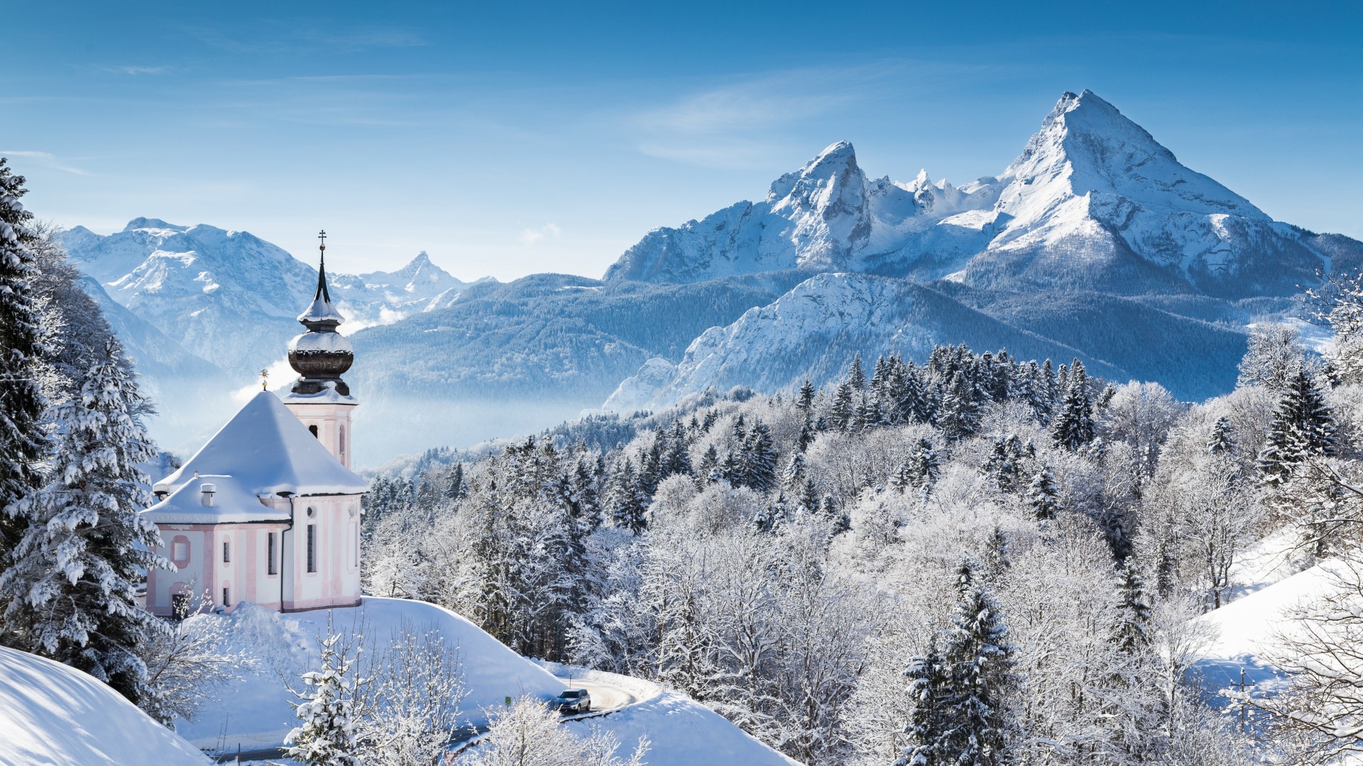 冬日雪景，森林树木的自然之美——免费高清风景壁纸下载