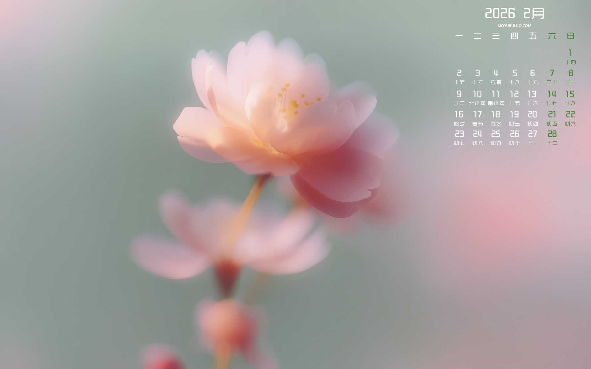 梦里花2026年2月月历壁纸，免费电脑桌面日历壁纸下载