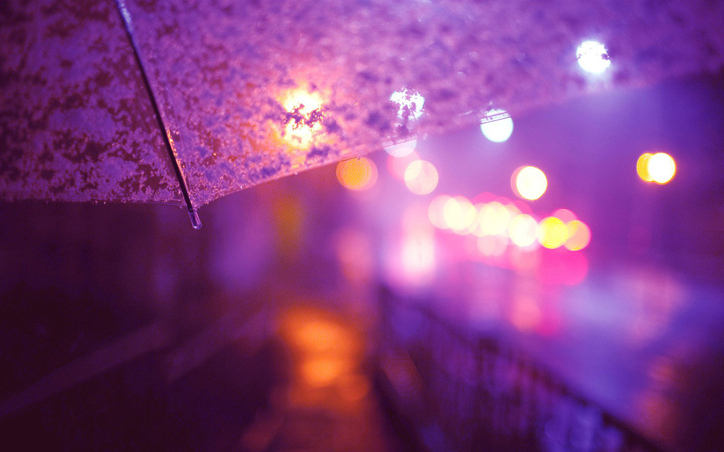 紫色雨伞电脑桌面背景，免费下载精选壁纸，美化你的电脑桌面！