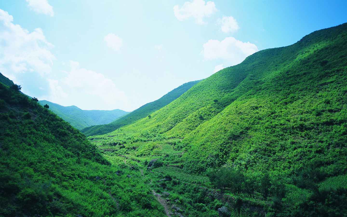 草原风景壁纸