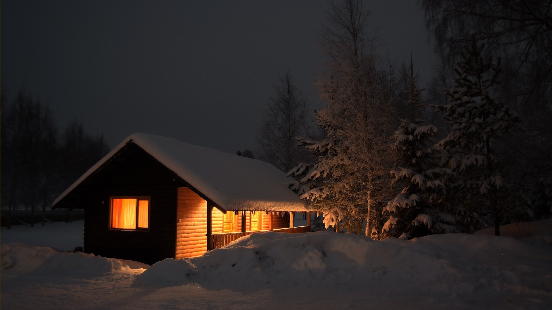 冬日雪夜，屋内暖灯映树影，免费风景壁纸装点你的电脑桌面