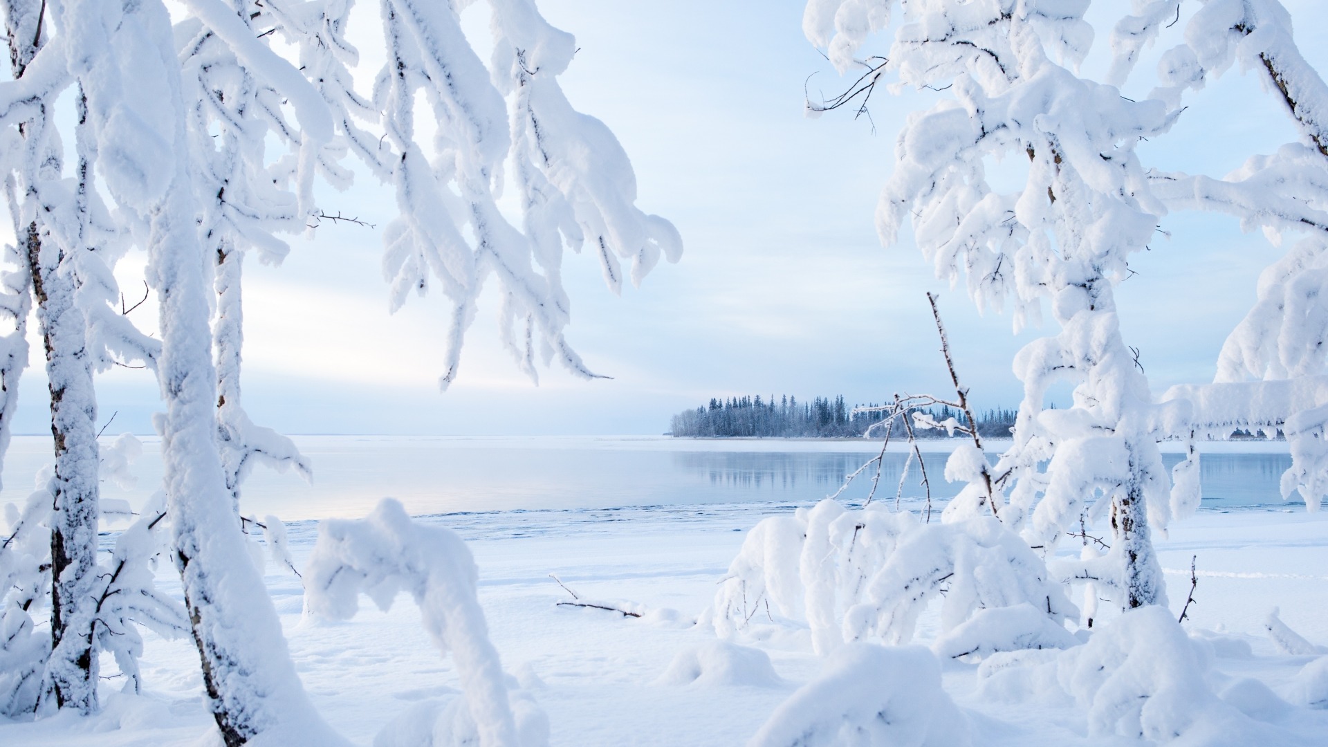 冬日雪景壁纸，湖树相映，绝美风景，免费下载电脑壁纸