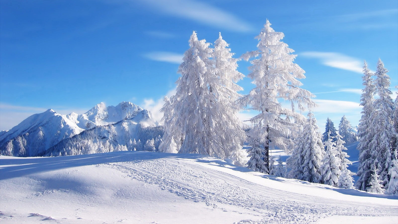 雪中美景壁纸，高清免费下载，装点你的电脑桌面