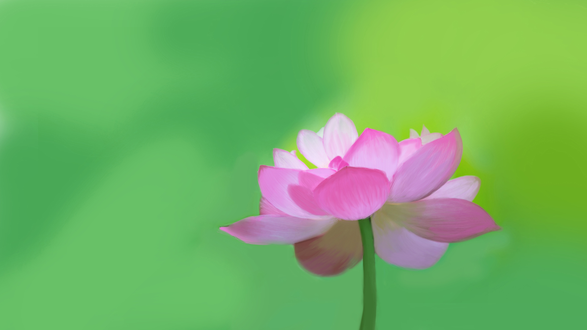 手绘荷花，清新护眼电脑壁纸，花卉主题免费下载
