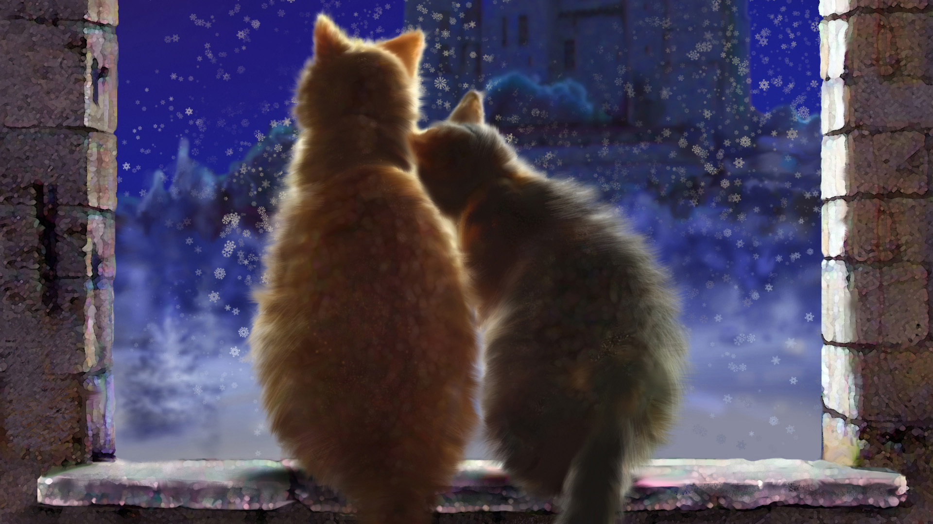 猫情侣桌面壁纸，精选动物主题，免费电脑壁纸一键下载
