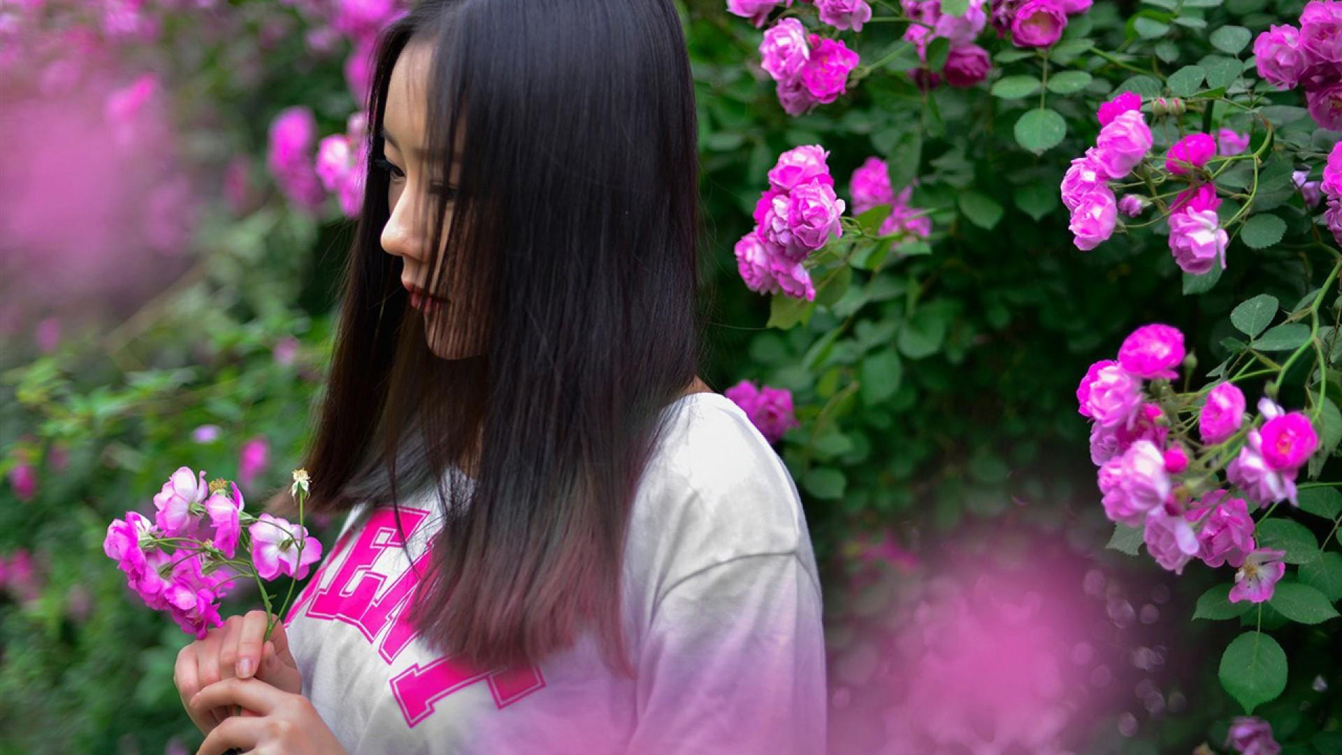 花海,清纯美女写真,唯美小清新桌面壁纸
