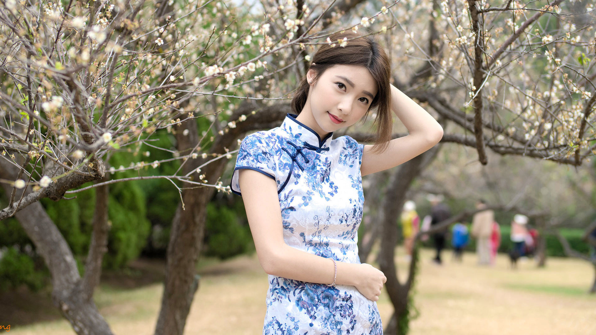 邻家女孩刘子涵 美丽的旗袍 美女桌面壁纸