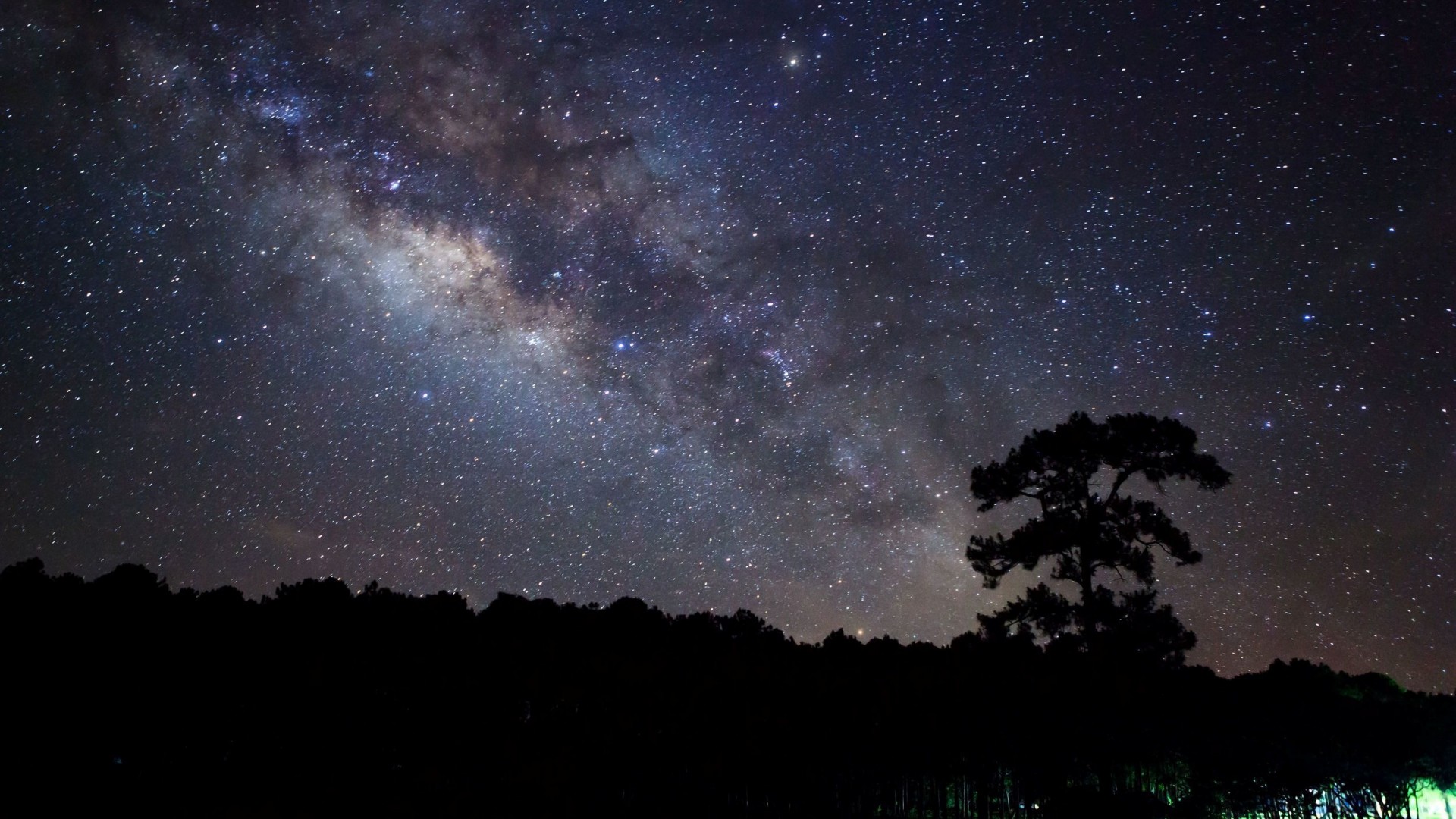 自然傍晚星空树景，免费电脑桌面壁纸下载