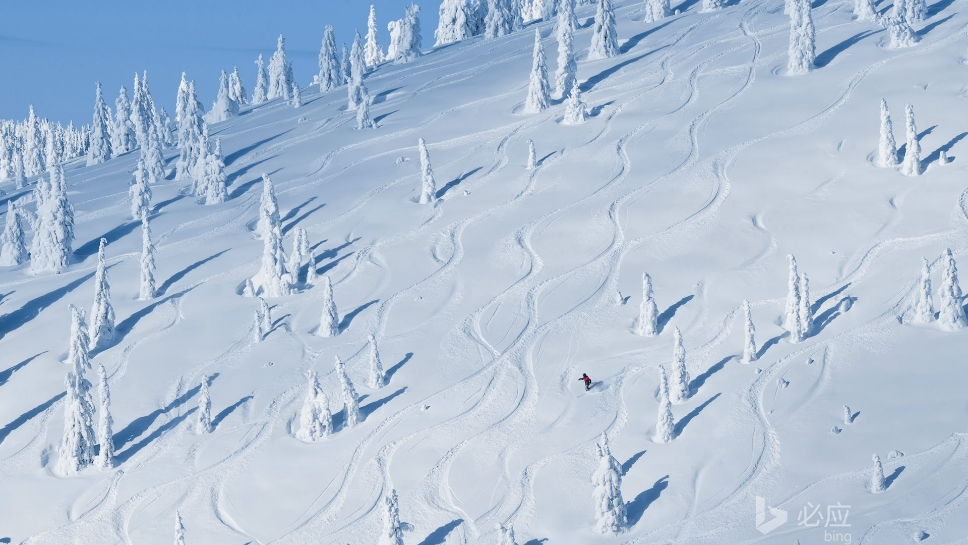 怀特菲什雪山绝美风景，免费下载高清桌面壁纸，装点你的电脑桌面