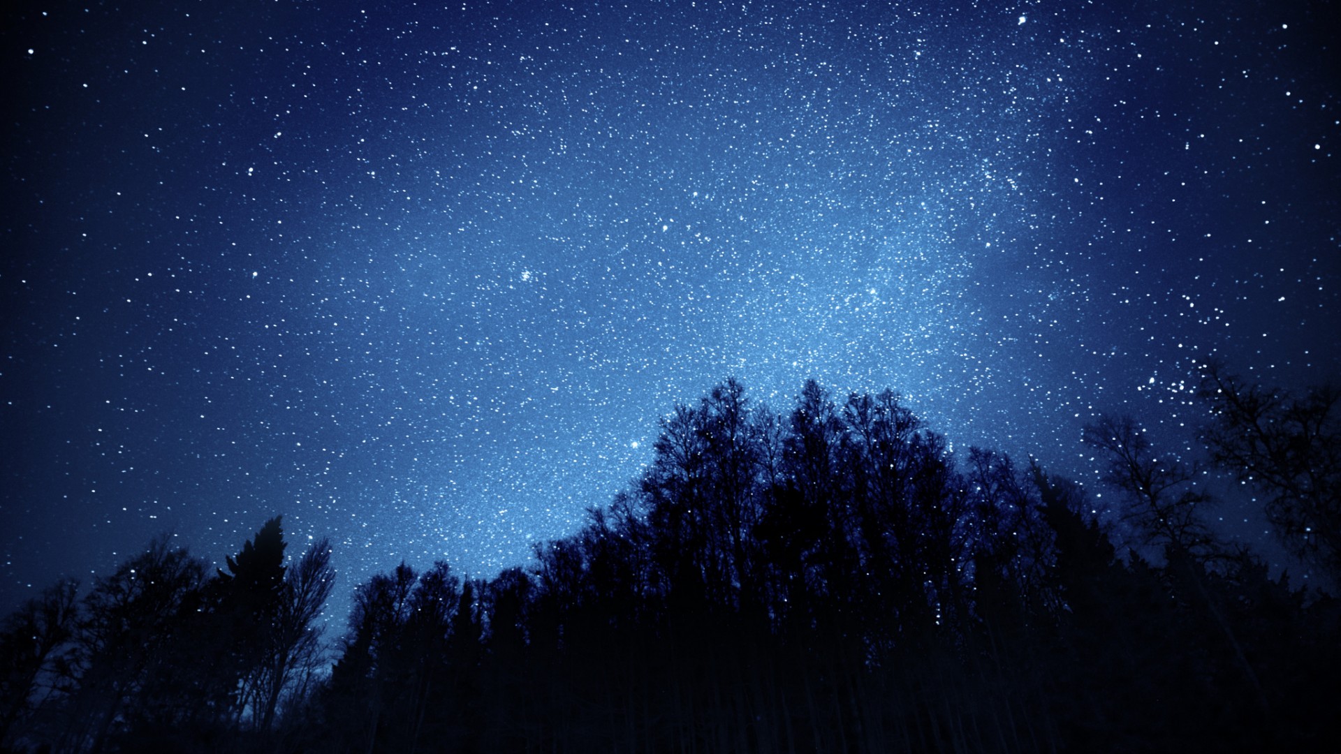 星空森林夜景，免费高清风景壁纸，电脑桌面美化必备！