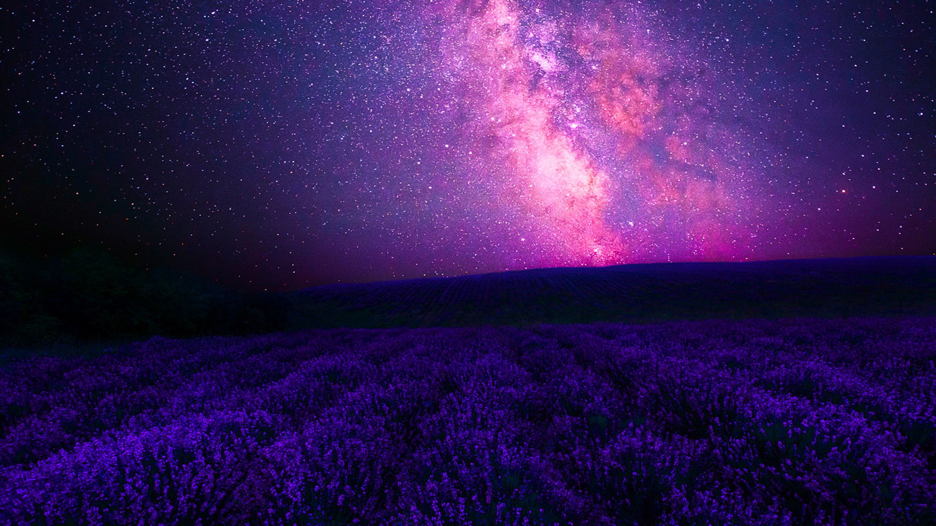 薰衣草之夜，银河星系下的梦幻桌面壁纸，免费下载花卉电脑背景