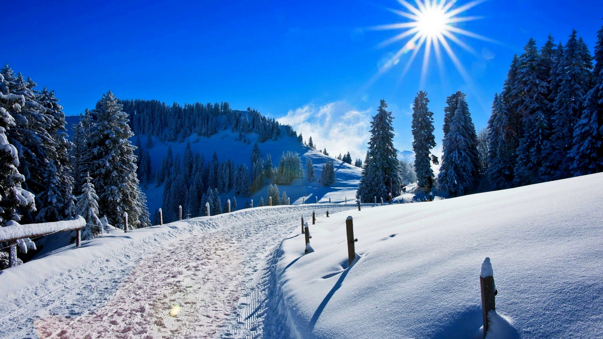 冬日雪山自然美景，林间小径，免费高清电脑壁纸下载