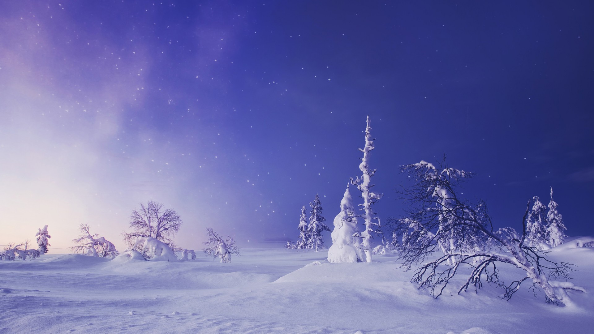 芬兰拉普兰冬季雪景，绝美树影与苍穹风光 - 免费电脑壁纸下载