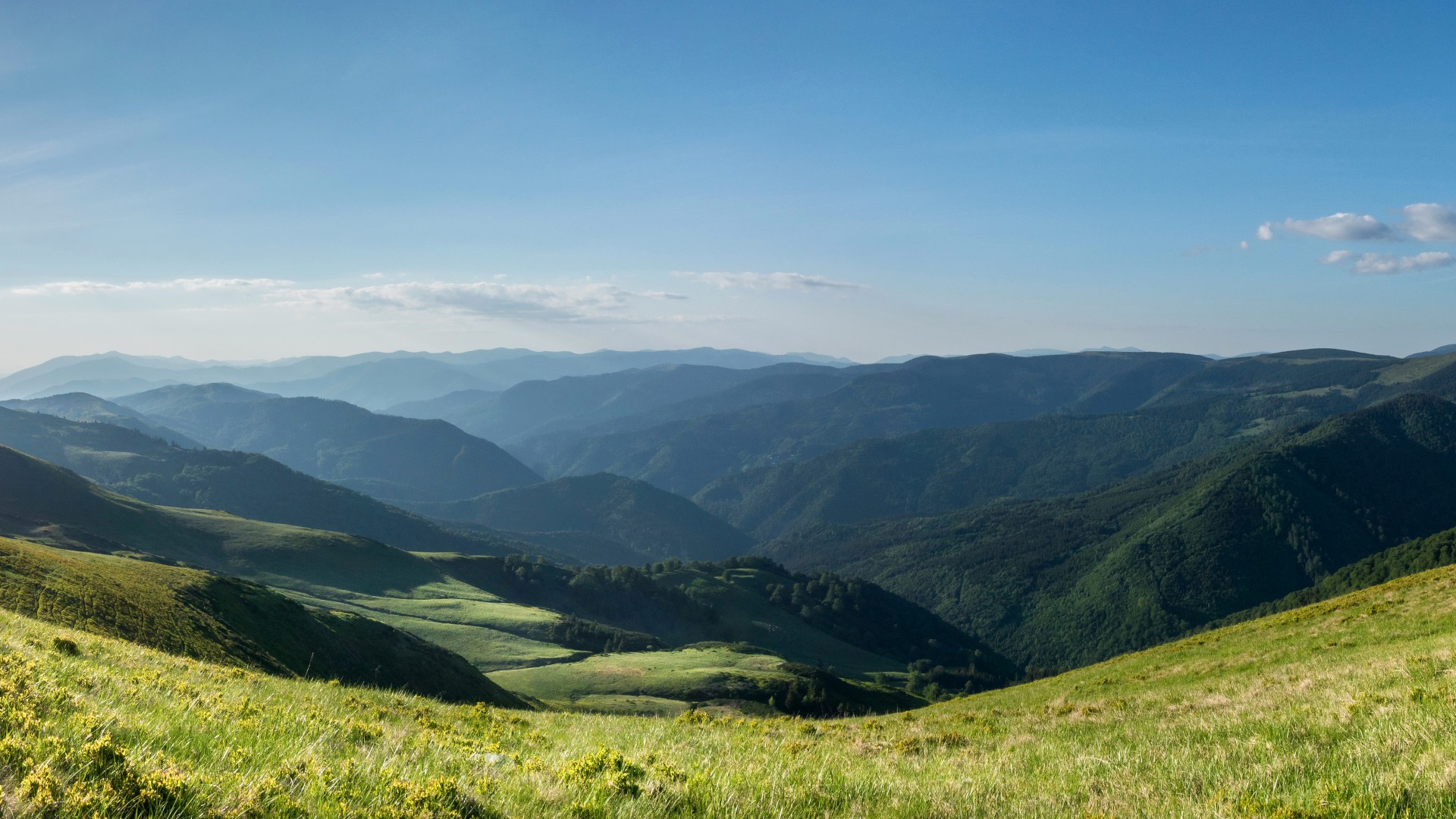 保加利亚皮林山，绝美山脉田野草地风景壁纸，免费下载装点你的电脑桌面