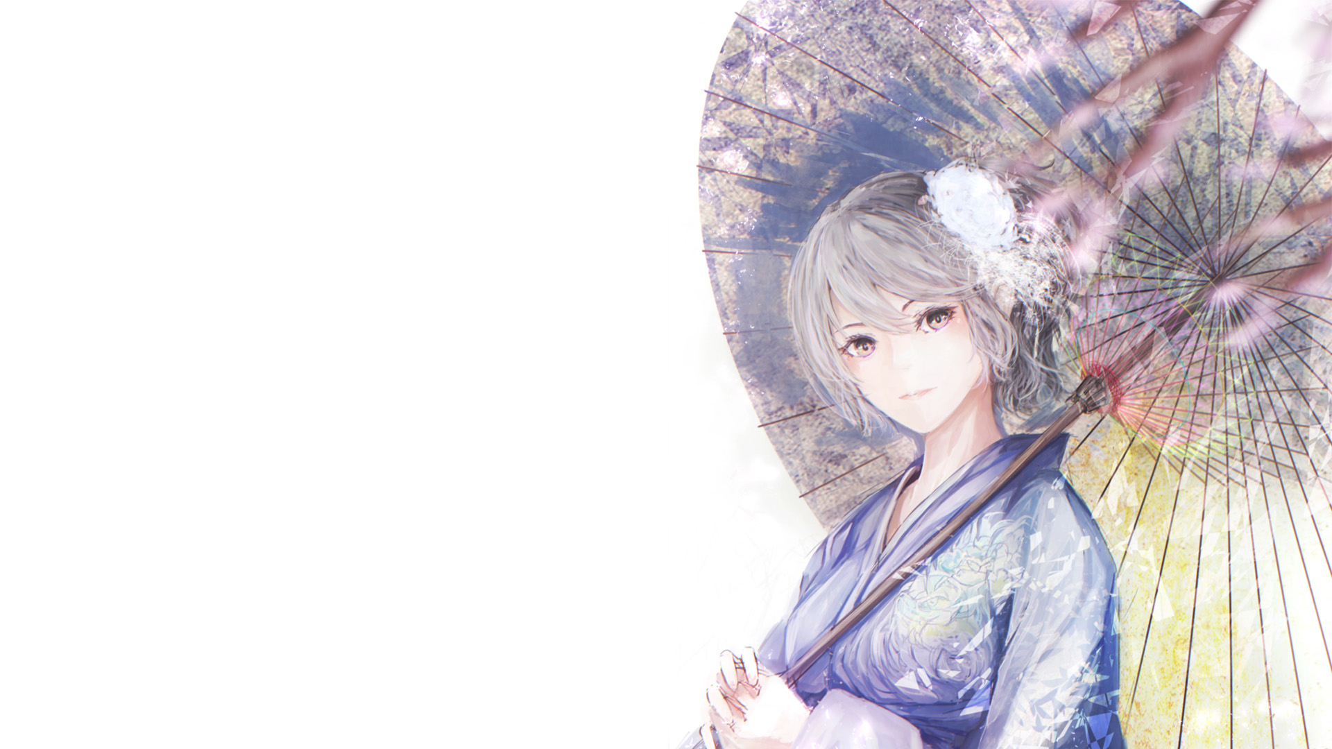女孩,和服,伞,樱花,动漫美女壁纸