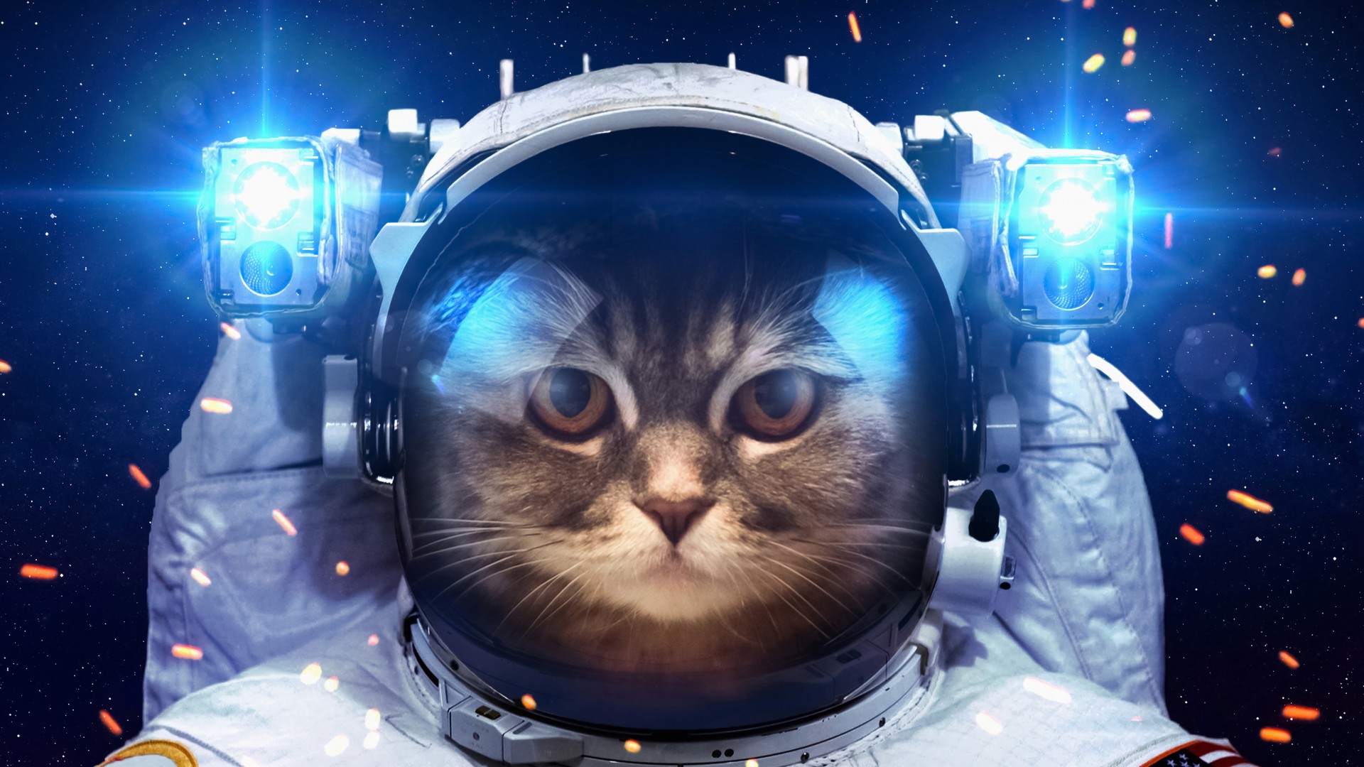 猫宇航员太空探险，航天服与手电筒，免费太空桌面壁纸下载