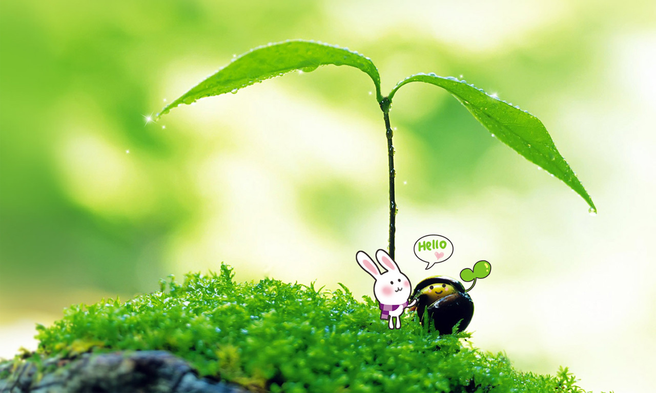 春日绿意手绘壁纸，免费下载，装点你的电脑桌面！