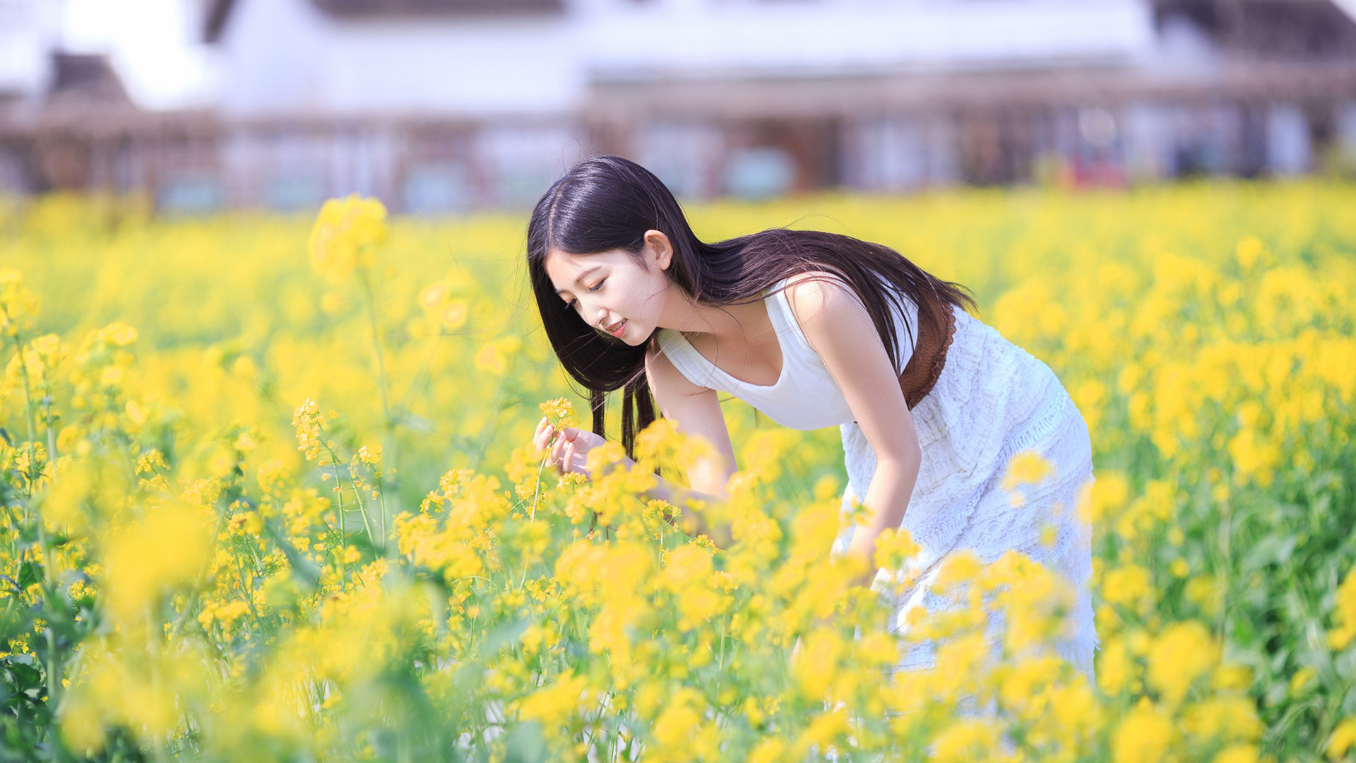 清新女孩花海倩影，甜美笑容壁纸，免费下载扮靓你的电脑桌面