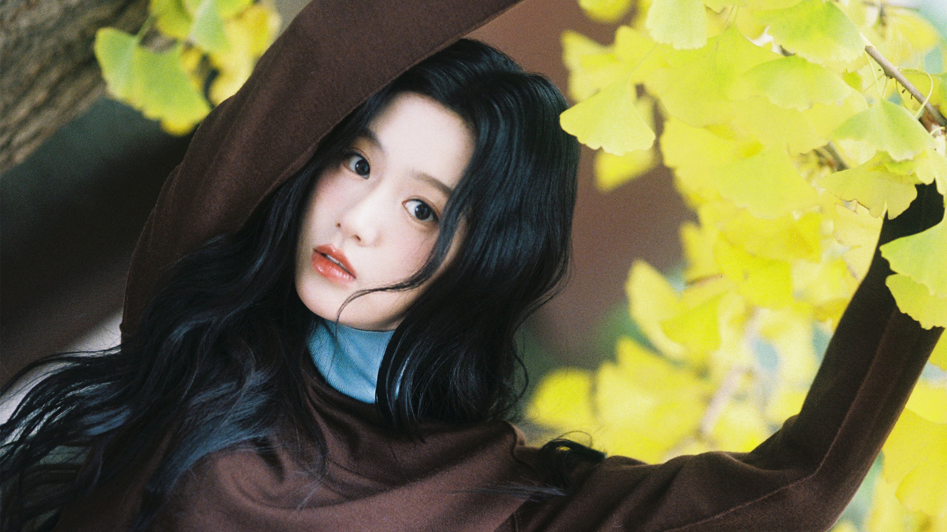 包上恩银杏叶主题高清美女电脑壁纸免费下载