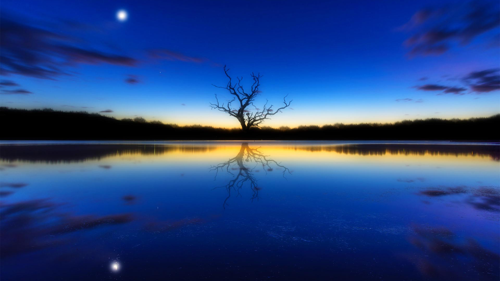 蓝色风景,一棵树,倒映,河水,夕阳美景,月亮,风景桌面壁纸