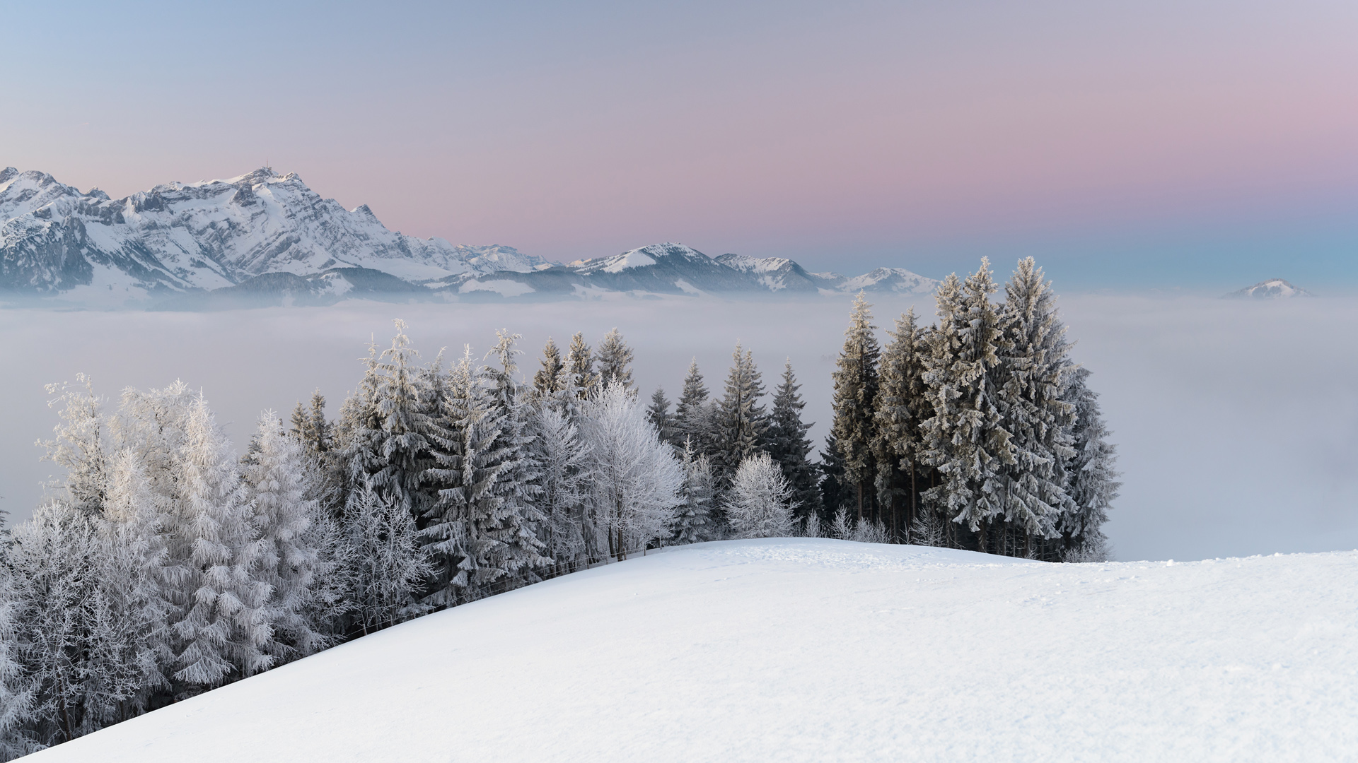 冬日雪景，山雾缭绕，树木披霜，自然美景壁纸免费下载