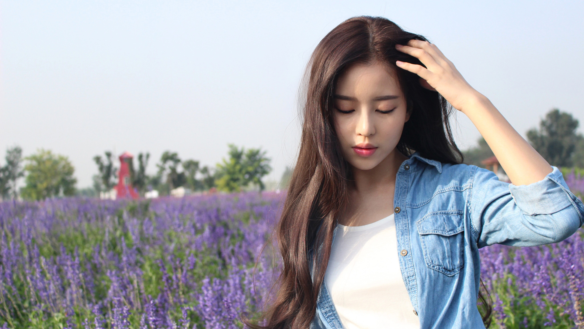紫色薰衣草 长发美女 花海 清纯美女壁纸