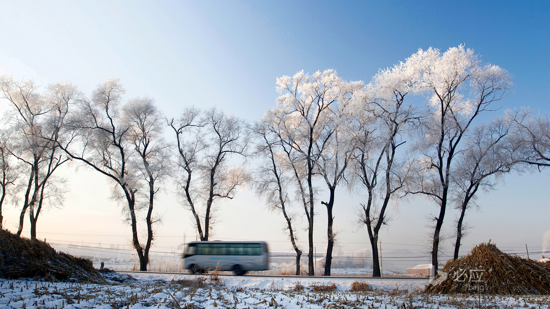 冬日雪景桌面壁纸，树影婆娑公路旁，汽车驰骋雪域间，田园天空共绘美景，免费下载装点你的电脑桌面