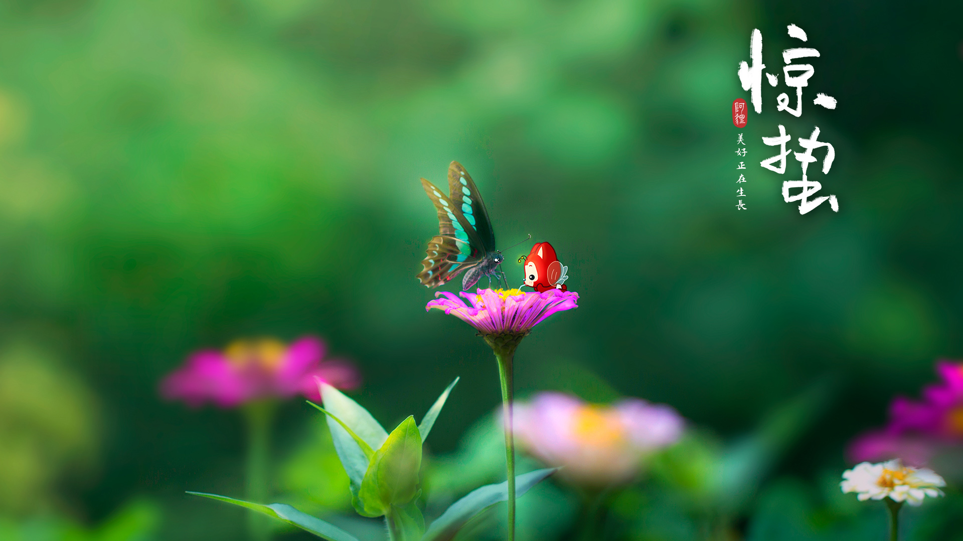 阿狸惊蛰壁纸，12节气蝴蝶花朵护眼，可爱免费电脑壁纸下载
