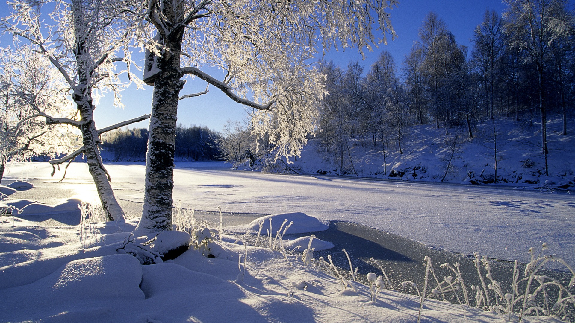 冬日自然之美，雪覆森林，阳光穿河，免费电脑壁纸下载