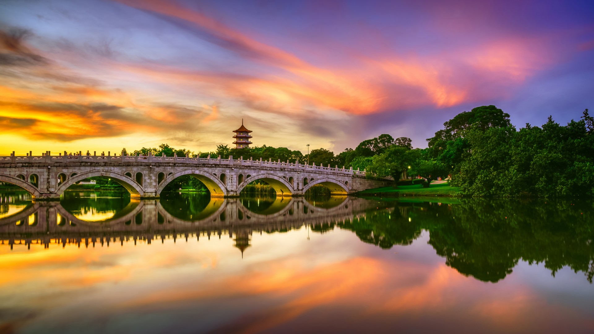 新加坡桥塔湖光树影，绝美风景壁纸，免费下载装点你的电脑桌面