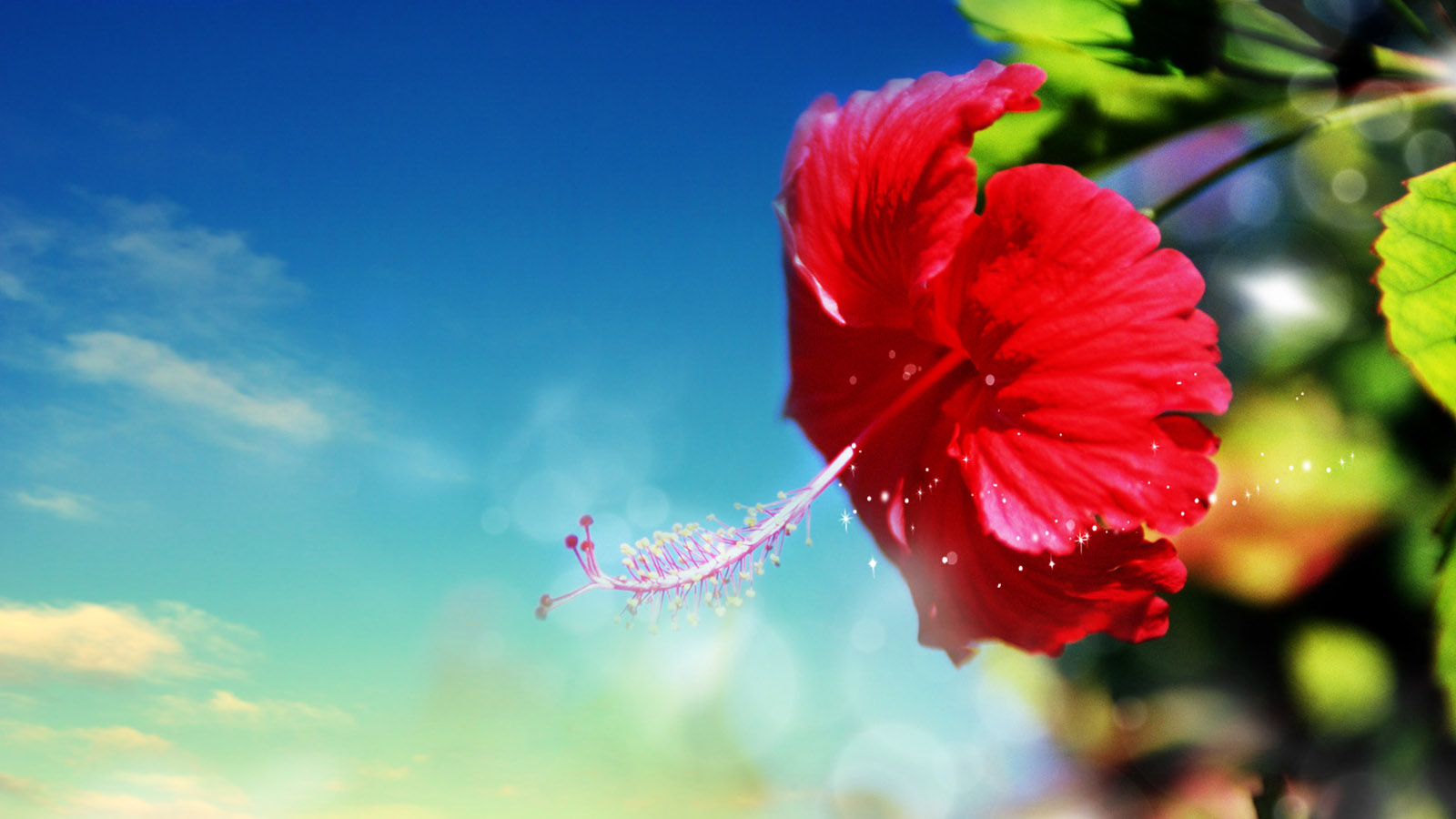 生如夏花美景电脑桌面壁纸，免费高清下载，装点你的数字世界
